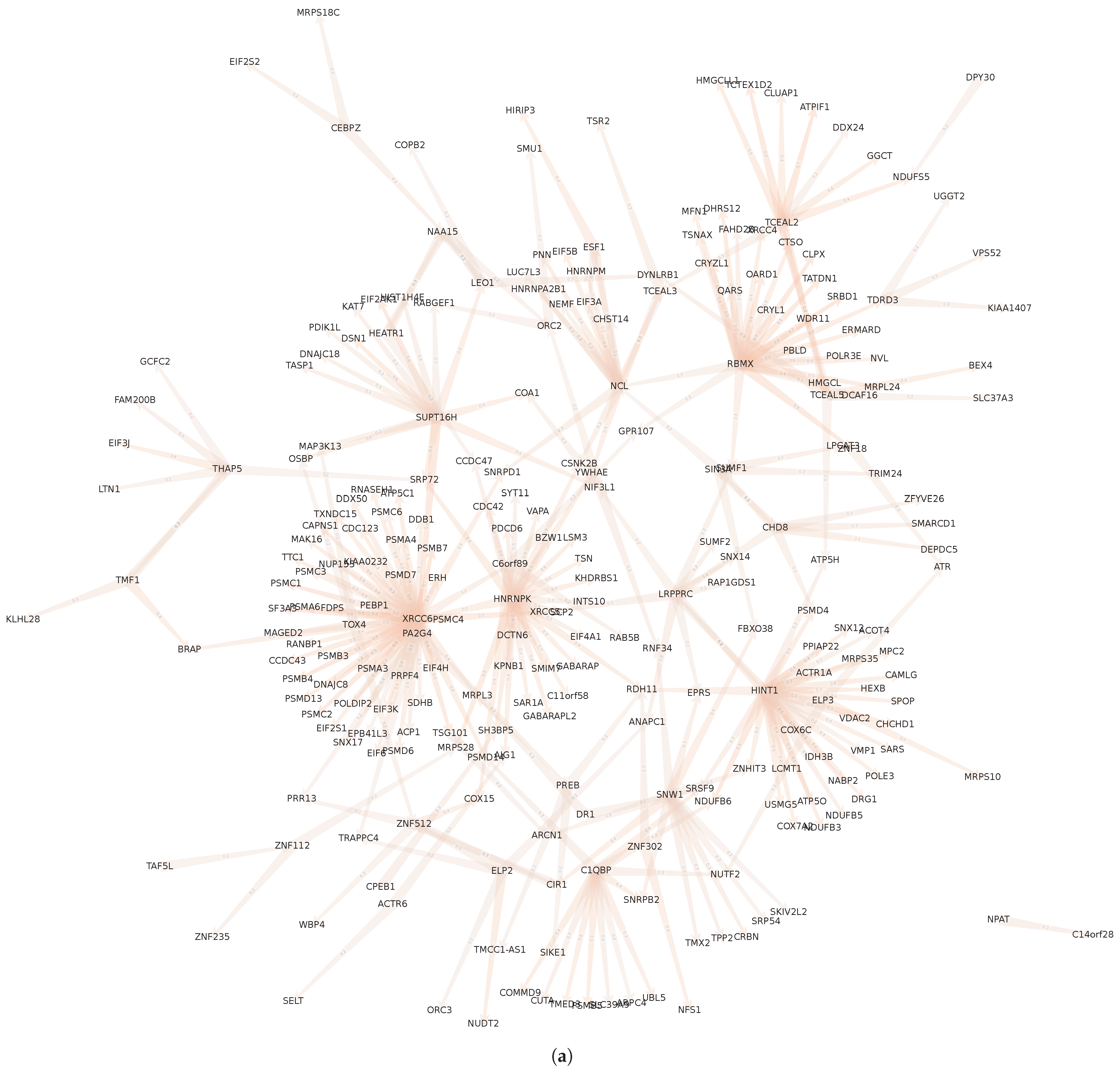 Biomolecules 13 00526 g014a Biomolecules 13 00526 g014a