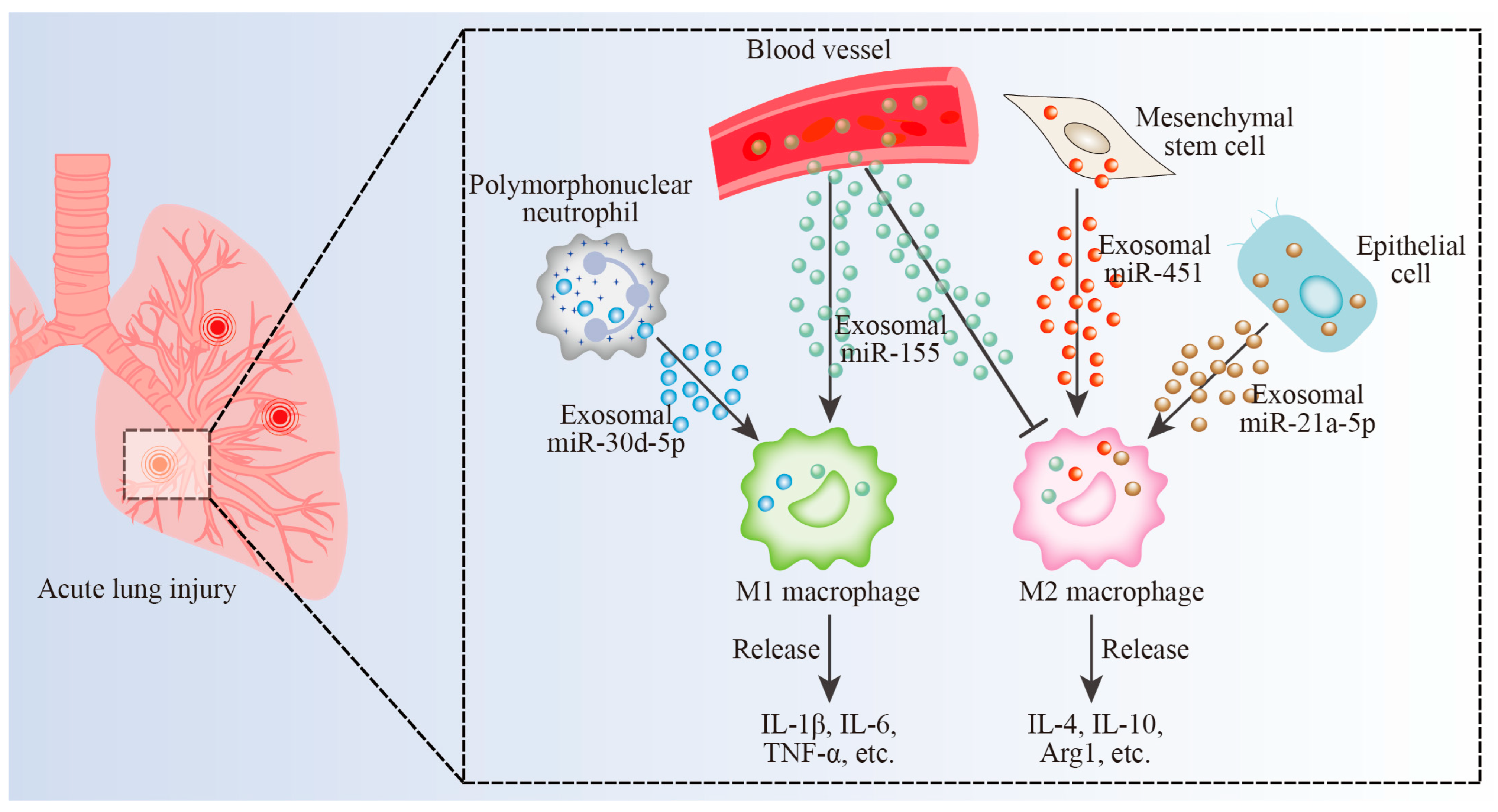 Biomolecules 13 00536 g002 Biomolecules 13 00536 g002