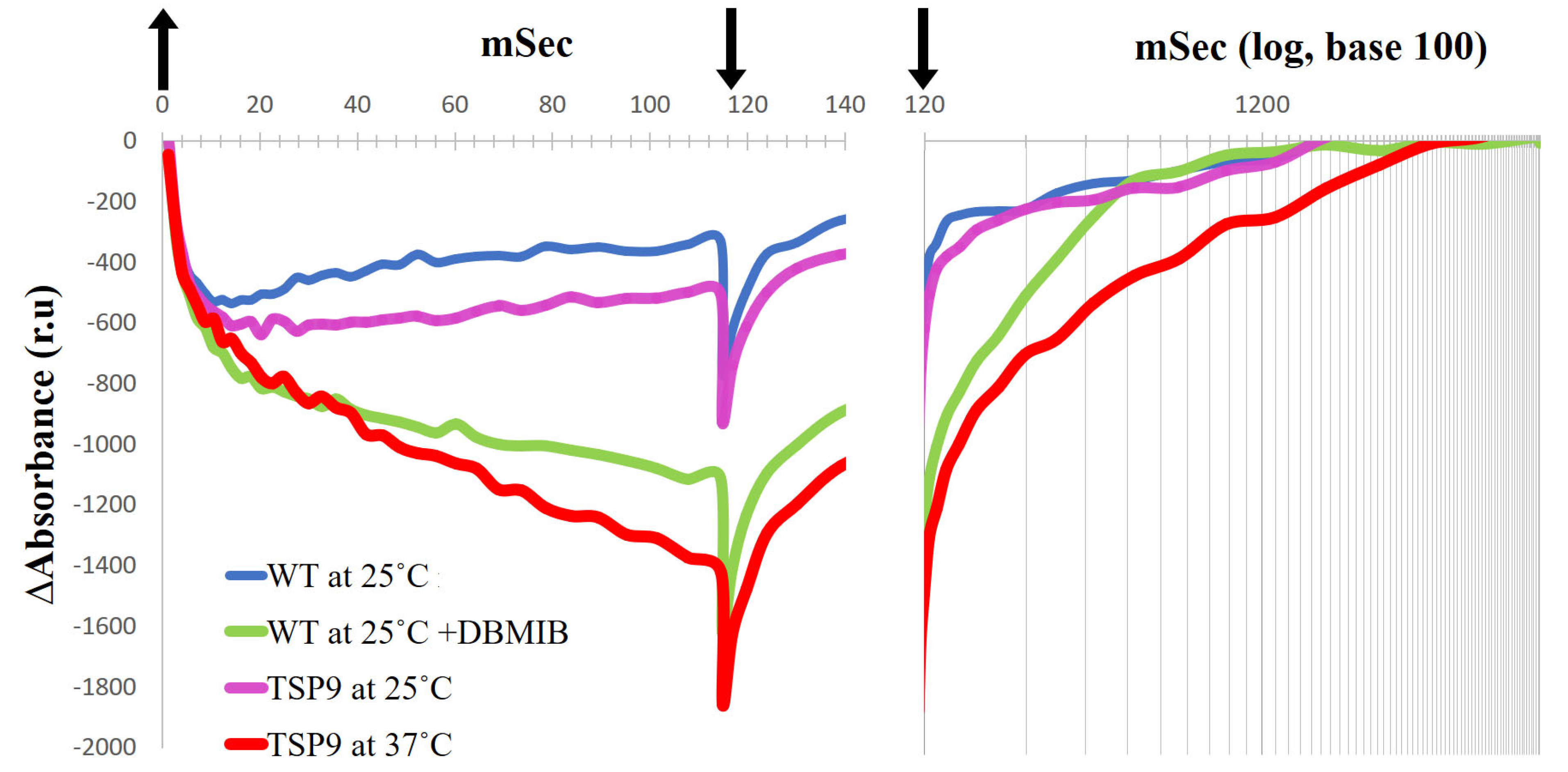 Biomolecules 13 00537 g005