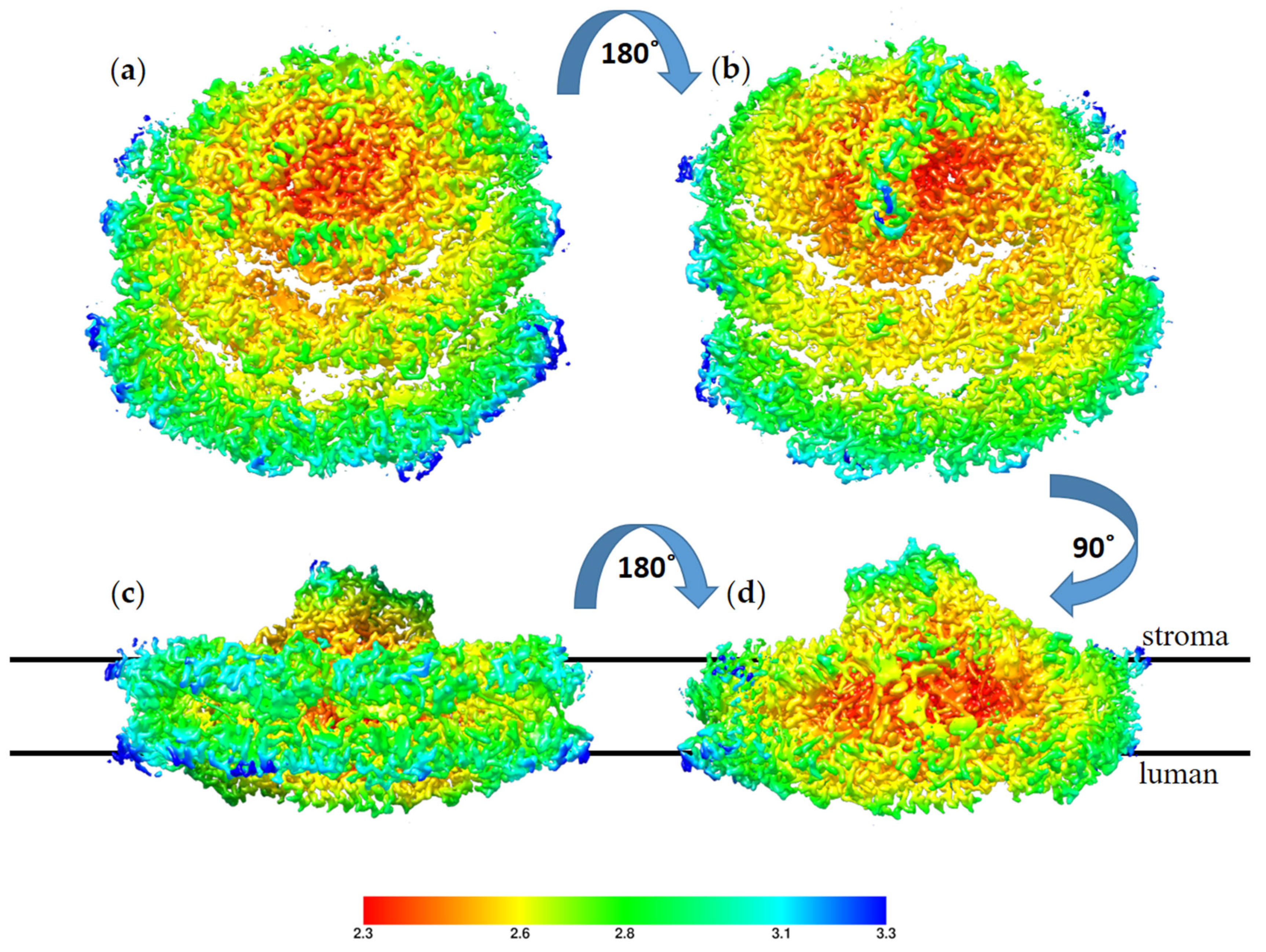 Biomolecules 13 00537 g007