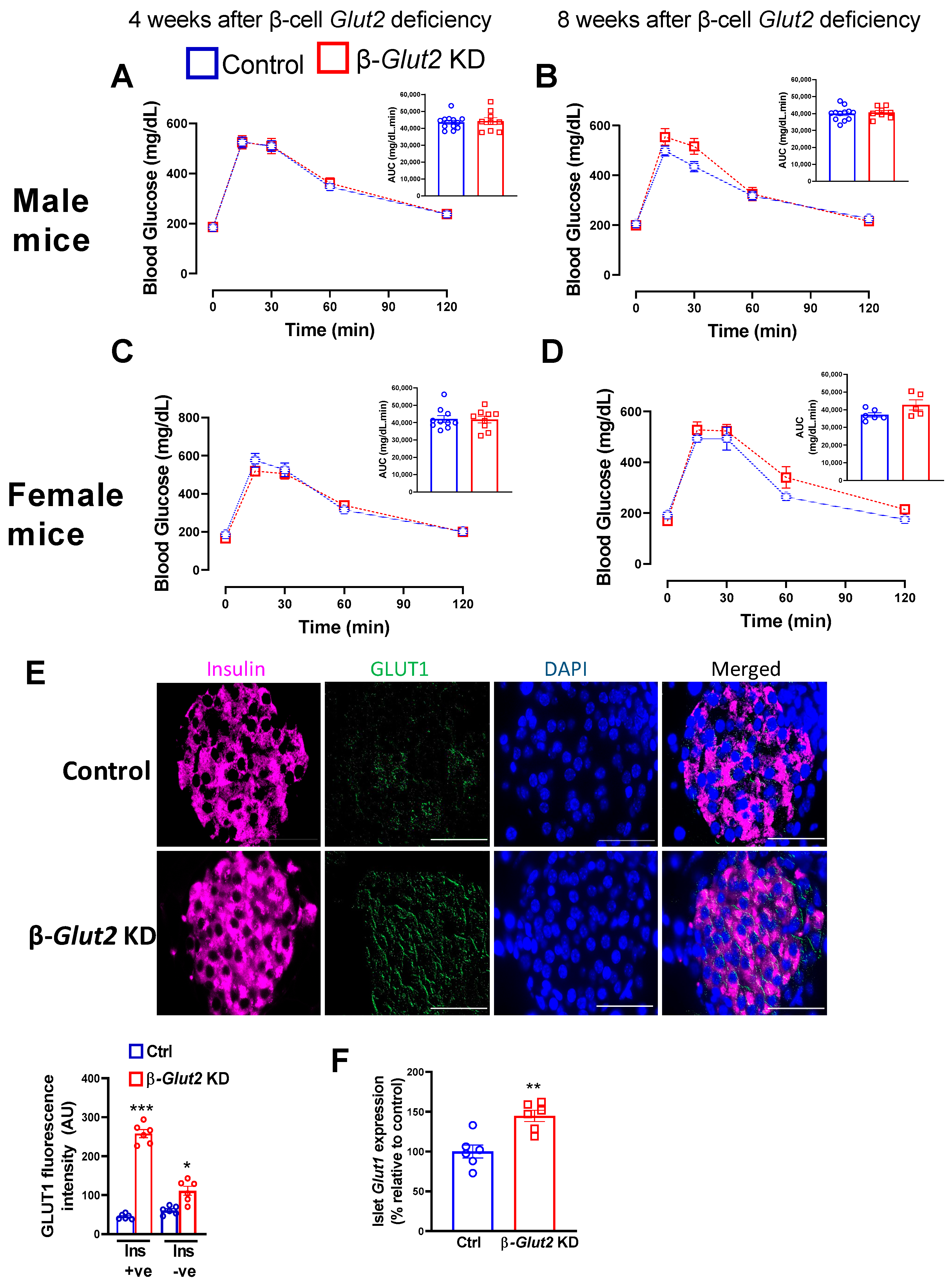 Biomolecules 13 00540 g003 Biomolecules 13 00540 g003