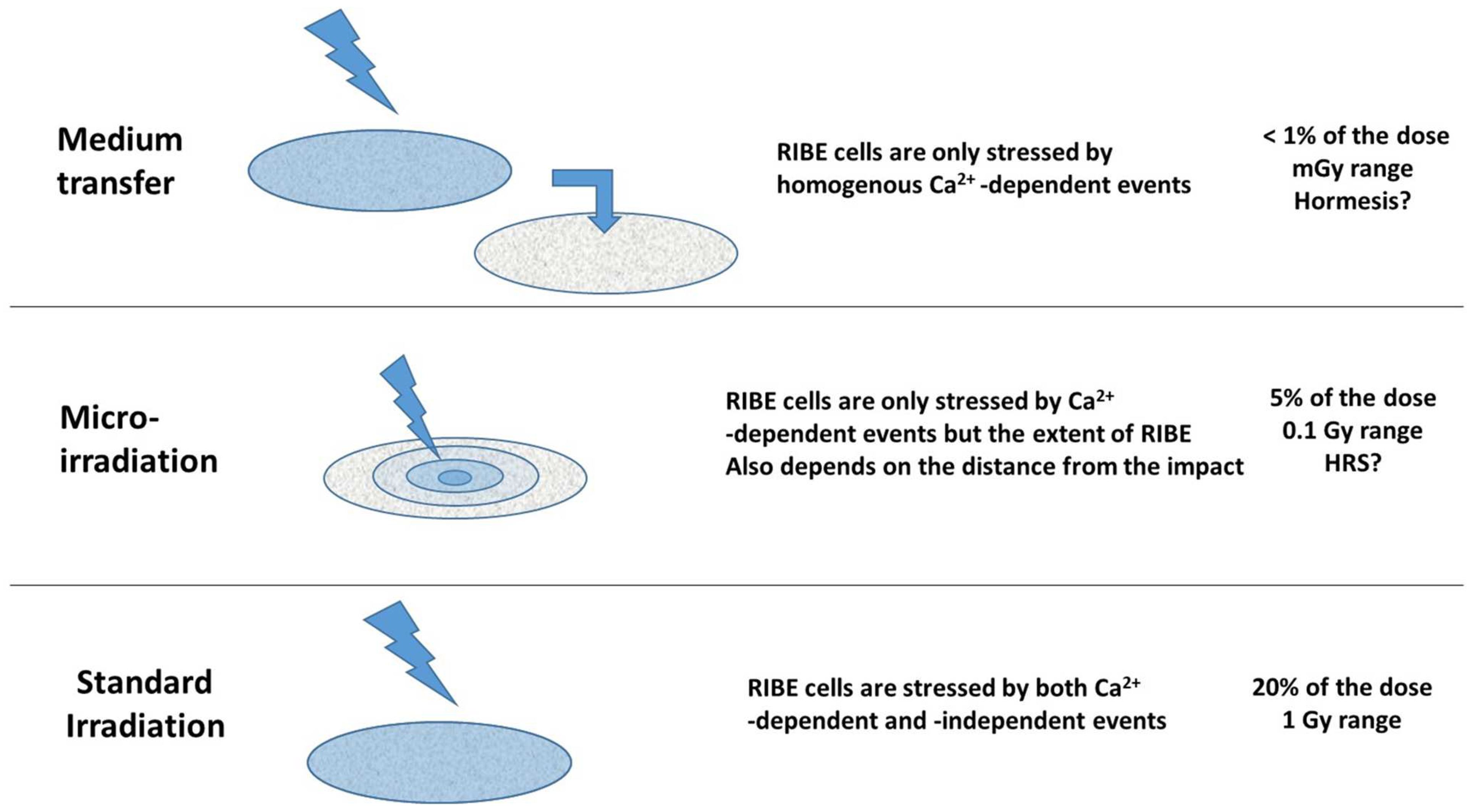 Biomolecules 13 00542 g010 Biomolecules 13 00542 g010