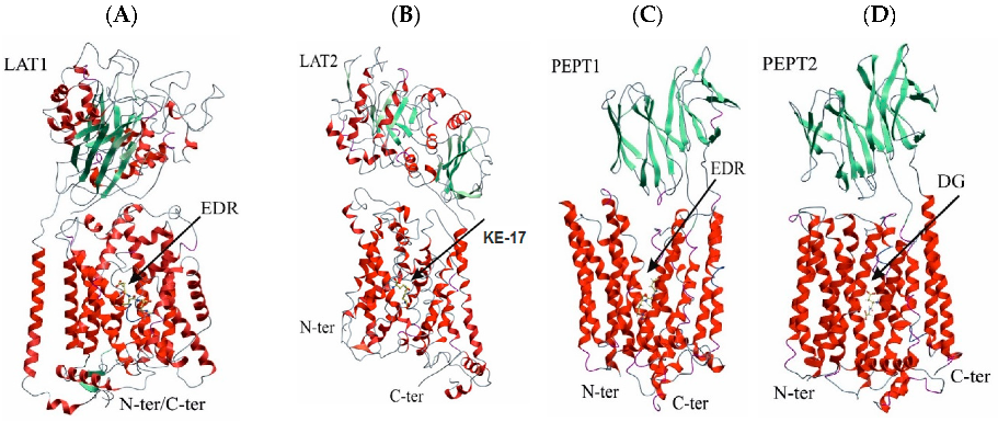 Biomolecules 13 00552 g001 Biomolecules 13 00552 g001