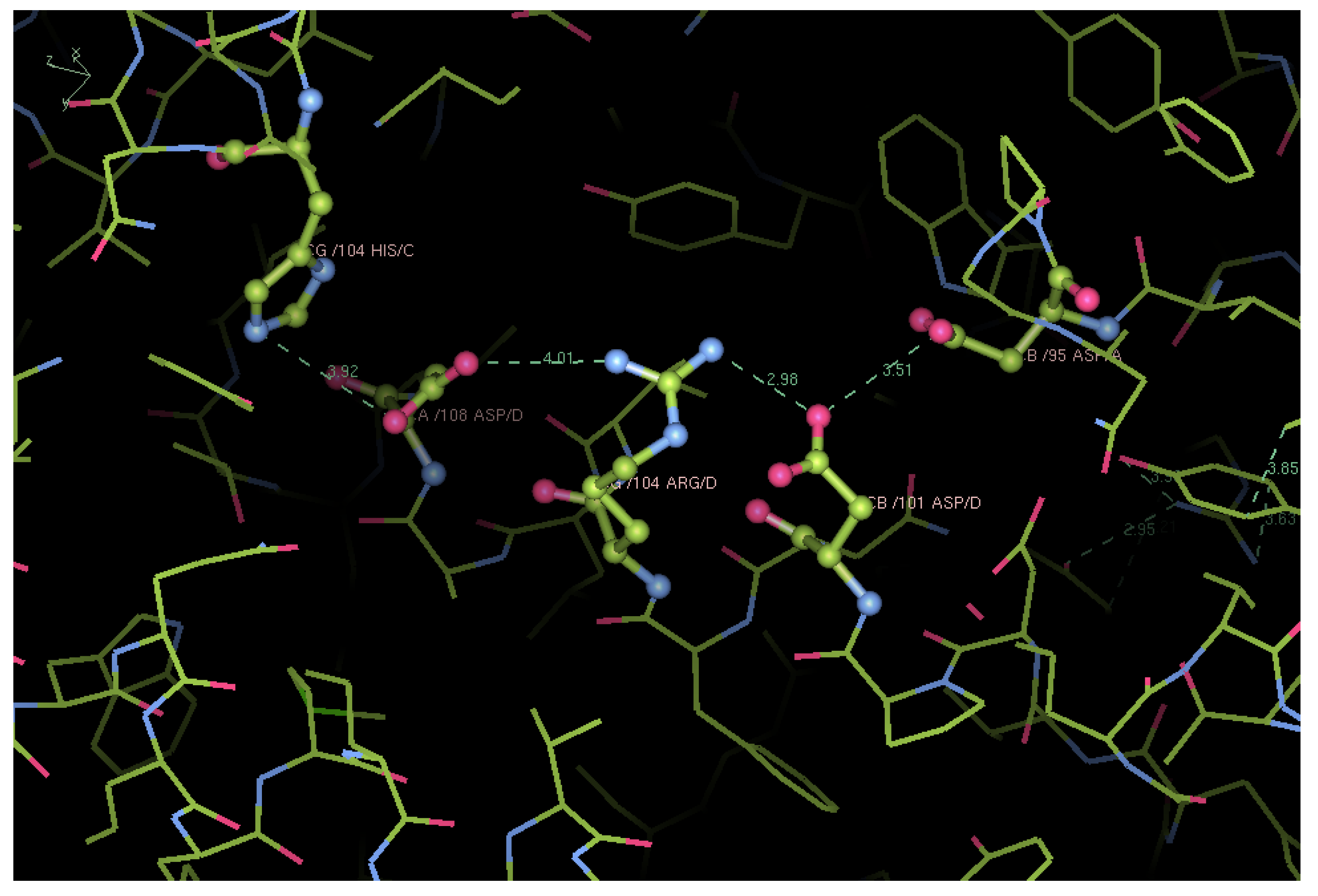 Biomolecules 13 00572 g003