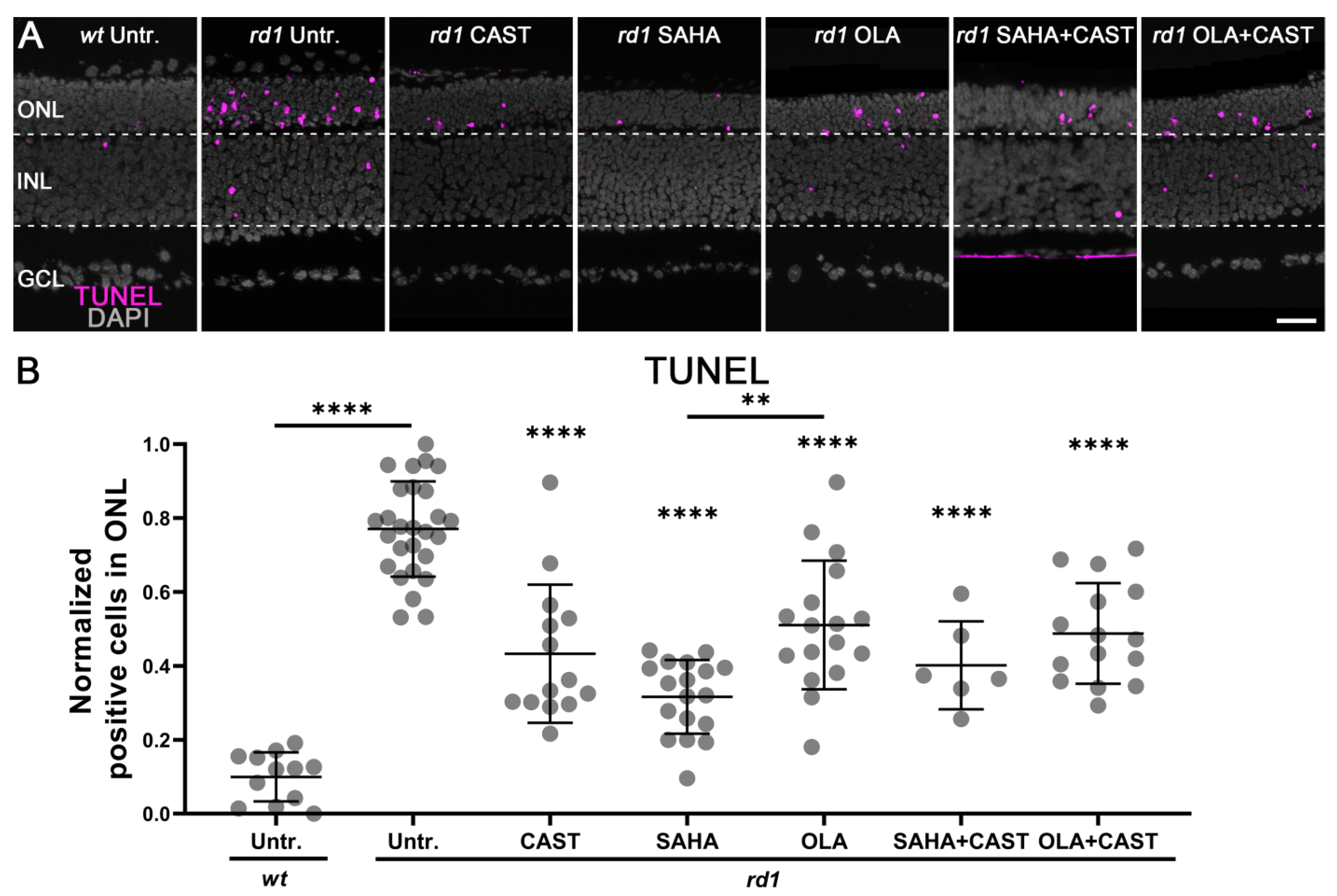 Biomolecules 13 00581 g001