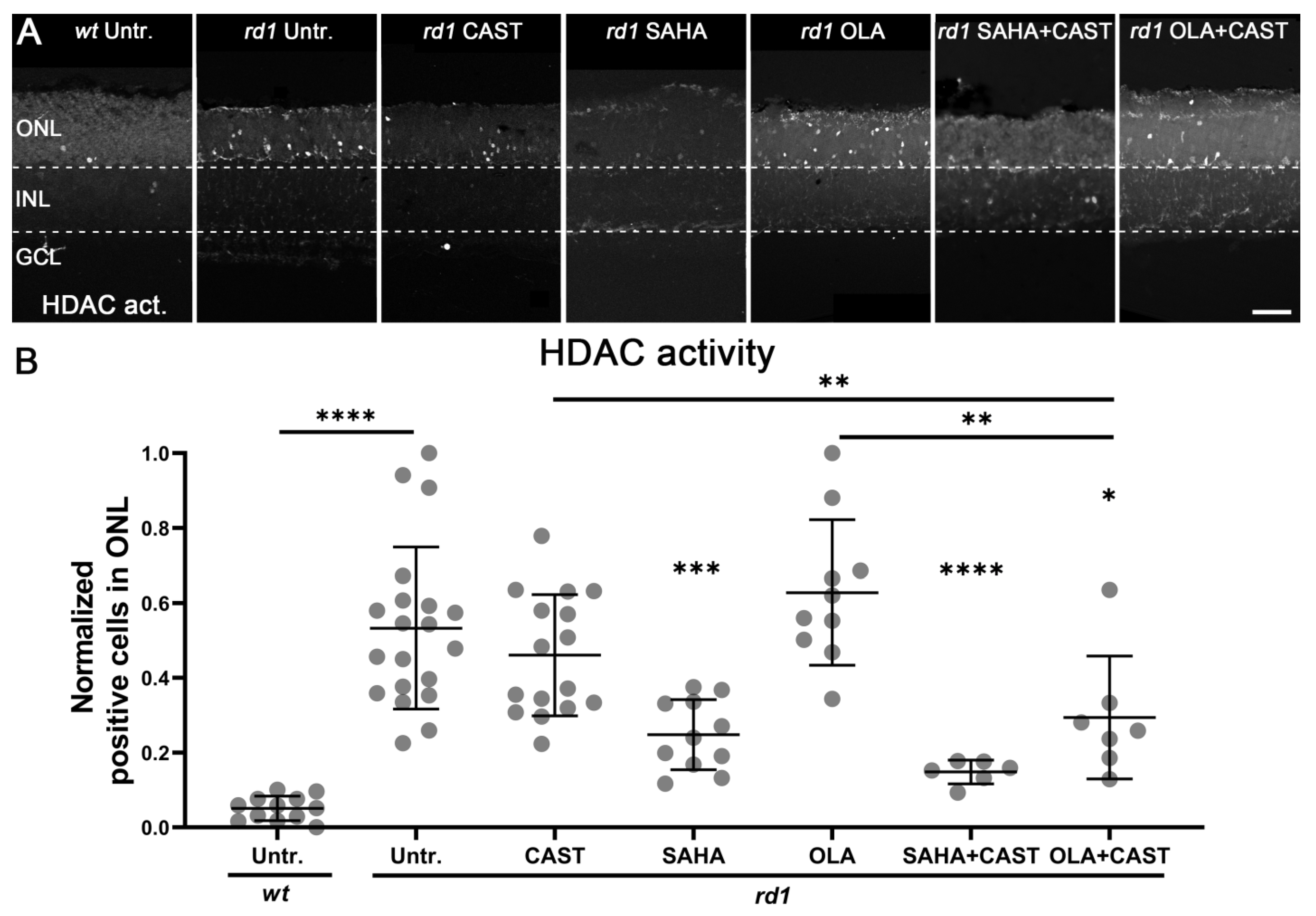 Biomolecules 13 00581 g003
