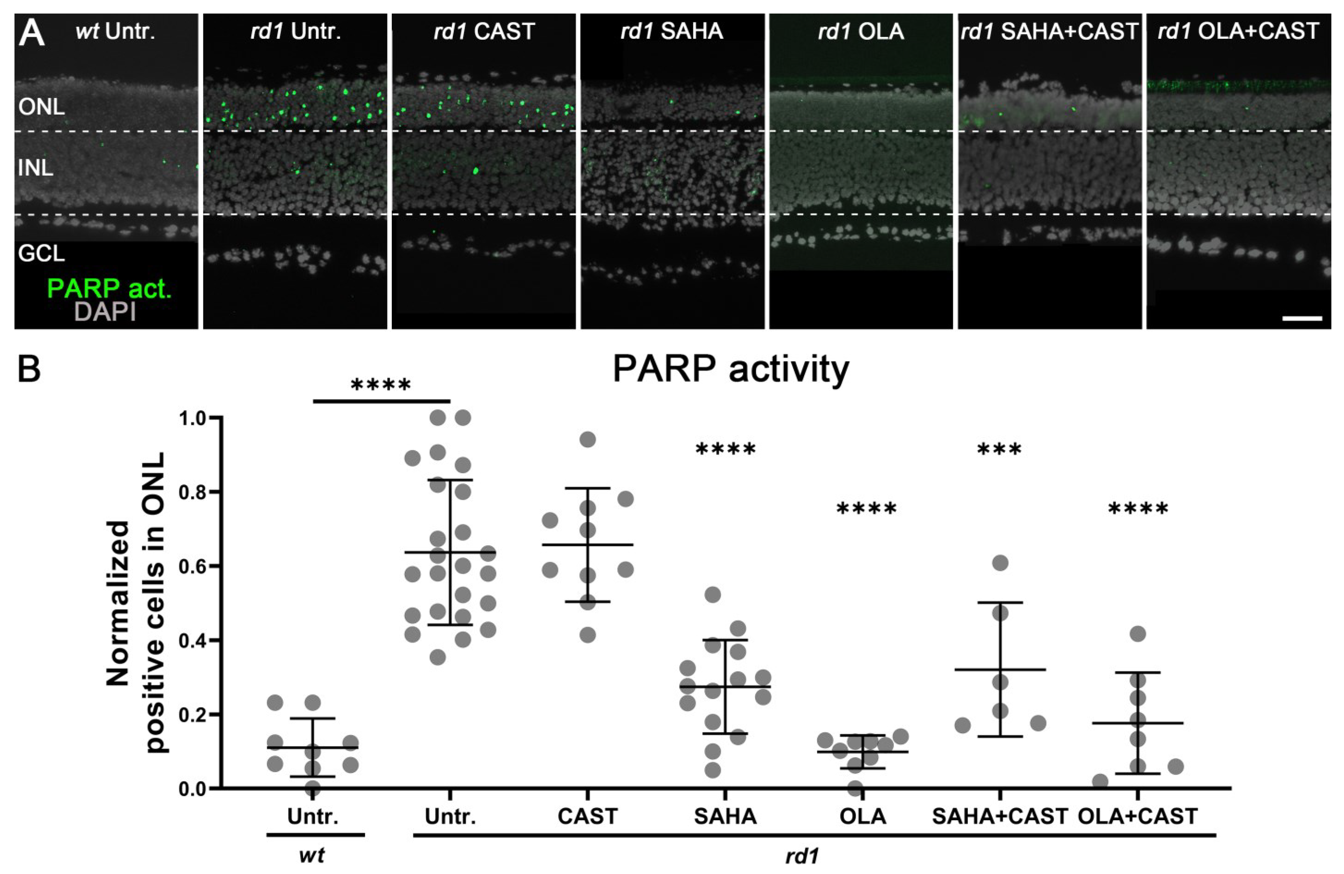Biomolecules 13 00581 g004