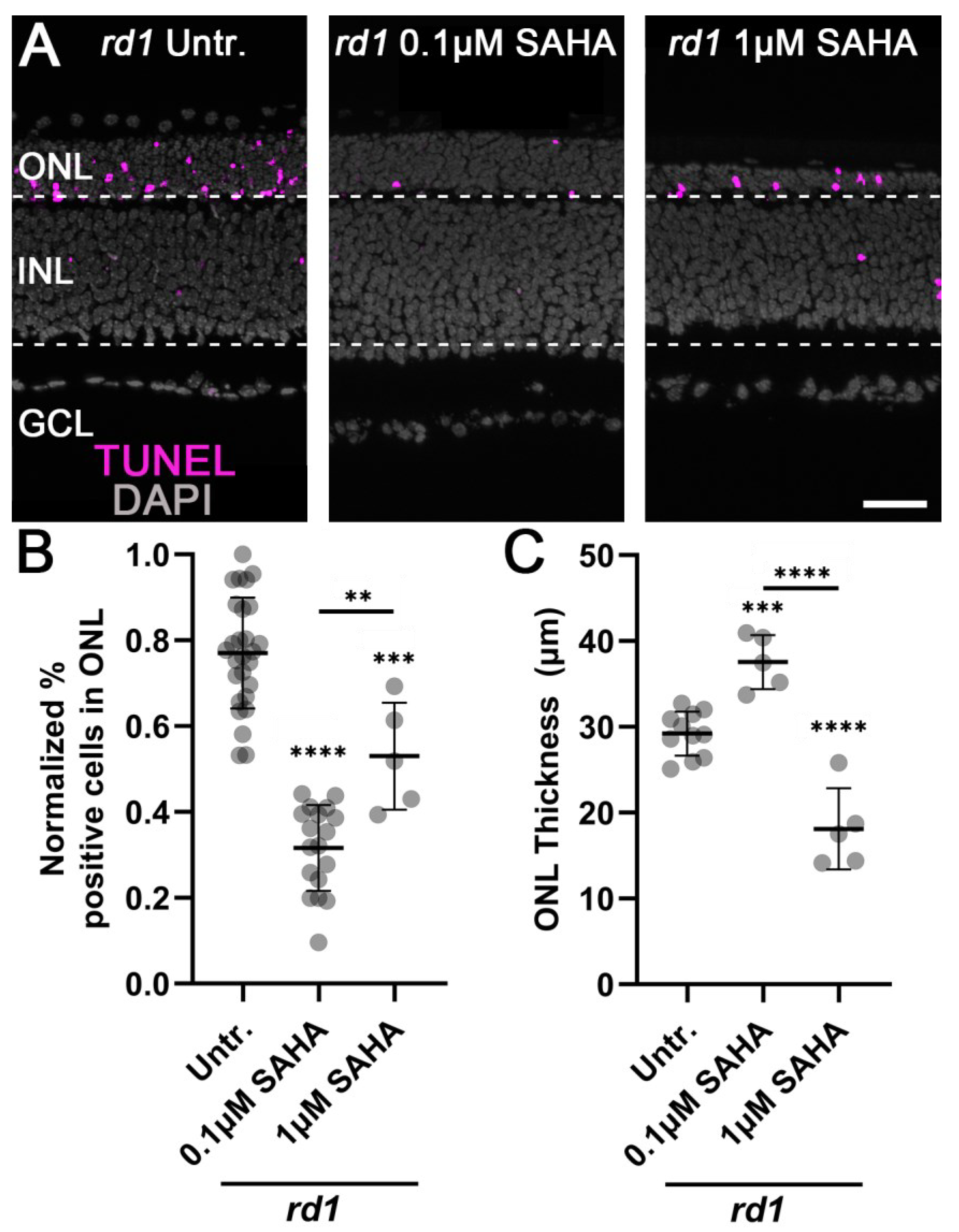 Biomolecules 13 00581 g0a1