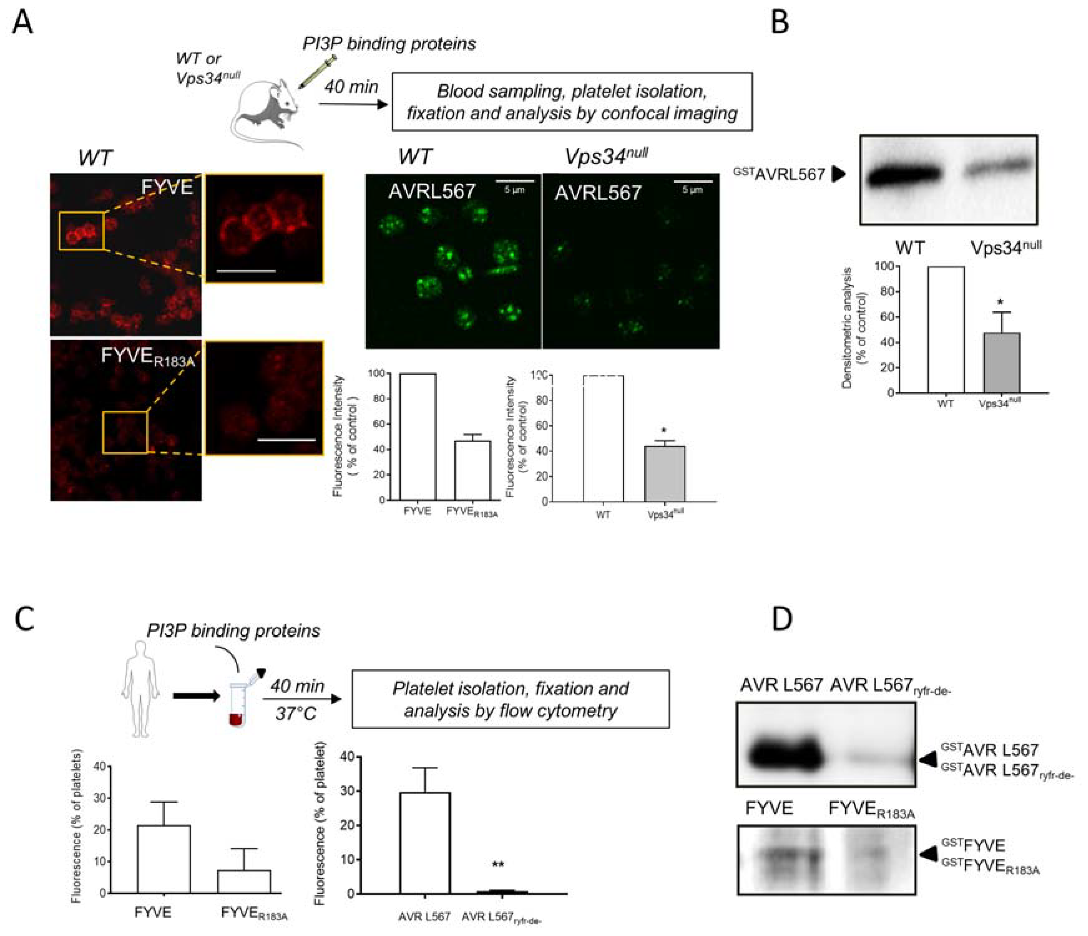 Biomolecules 13 00583 g006