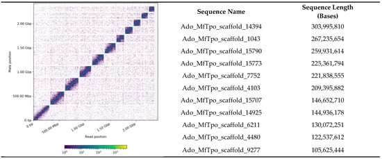 Genome and Genetic Engineering of the House Cricket Acheta  