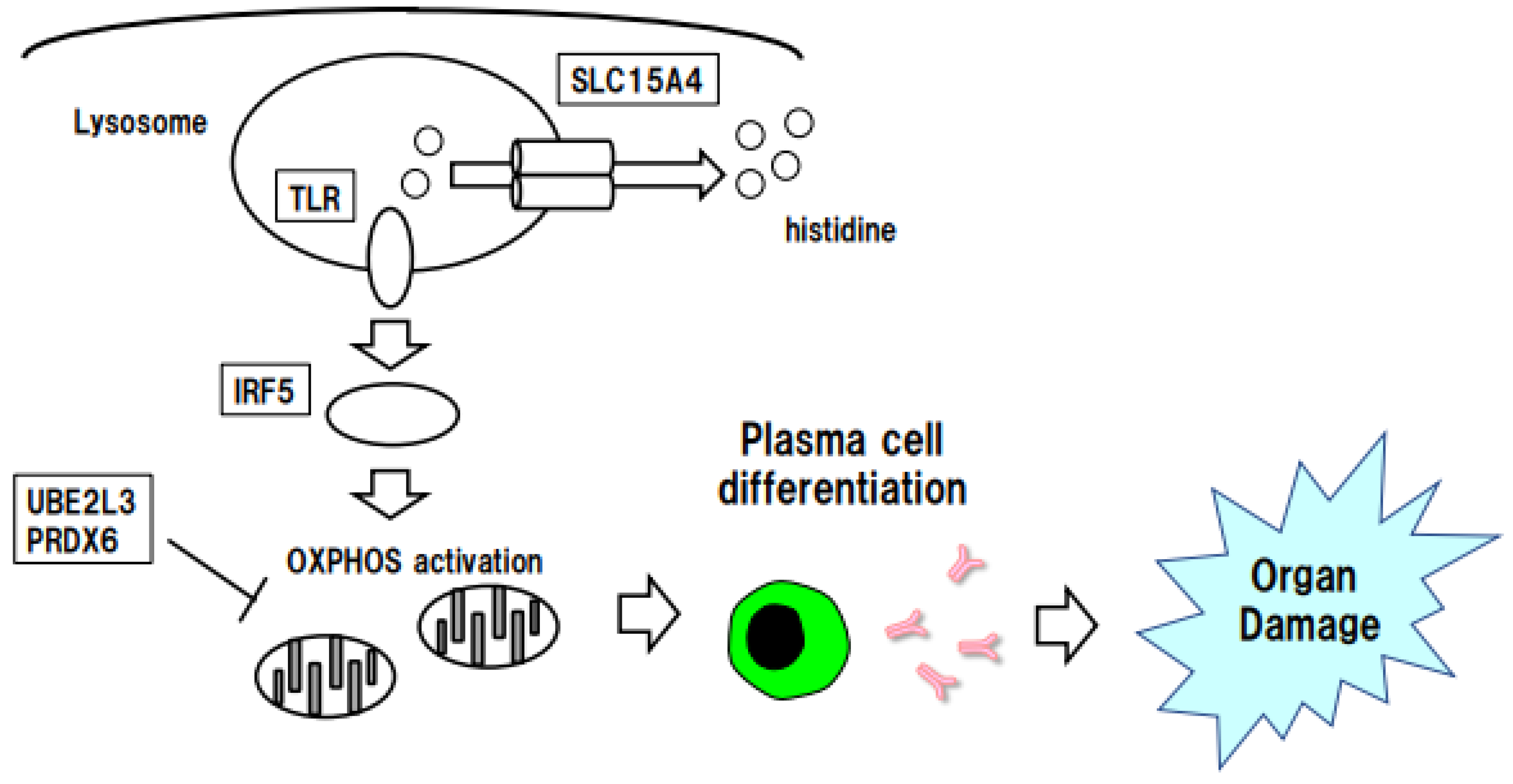Biomolecules 13 00591 g003