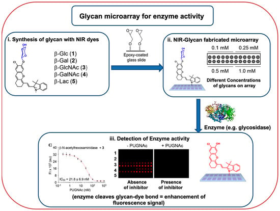 Microarray assessment of N-glycan-specific IgE and IgG profiles