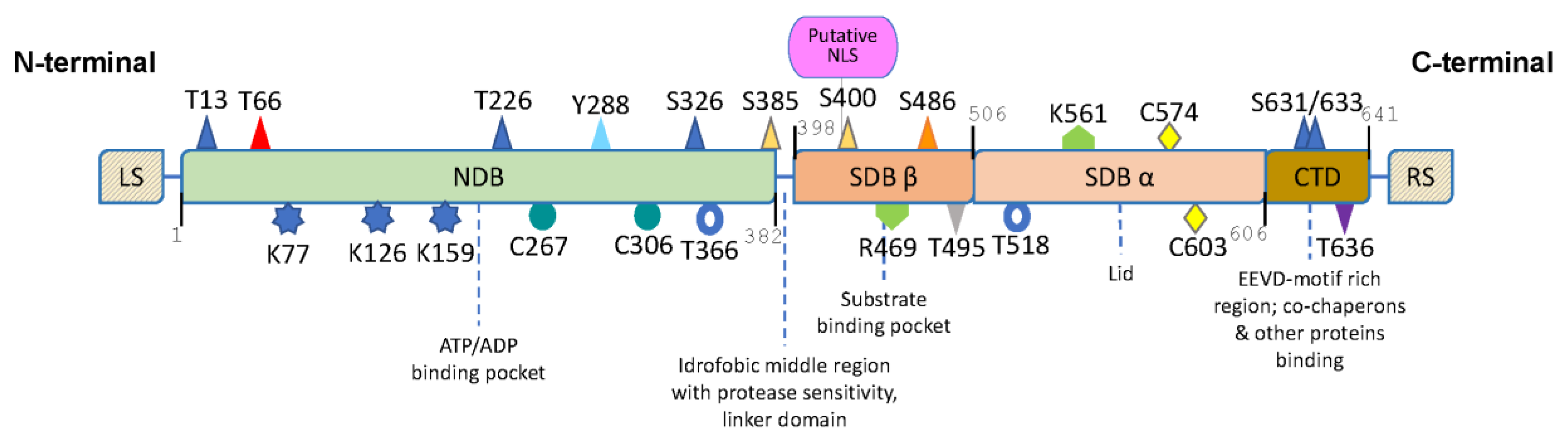 Biomolecules 13 00604 g002