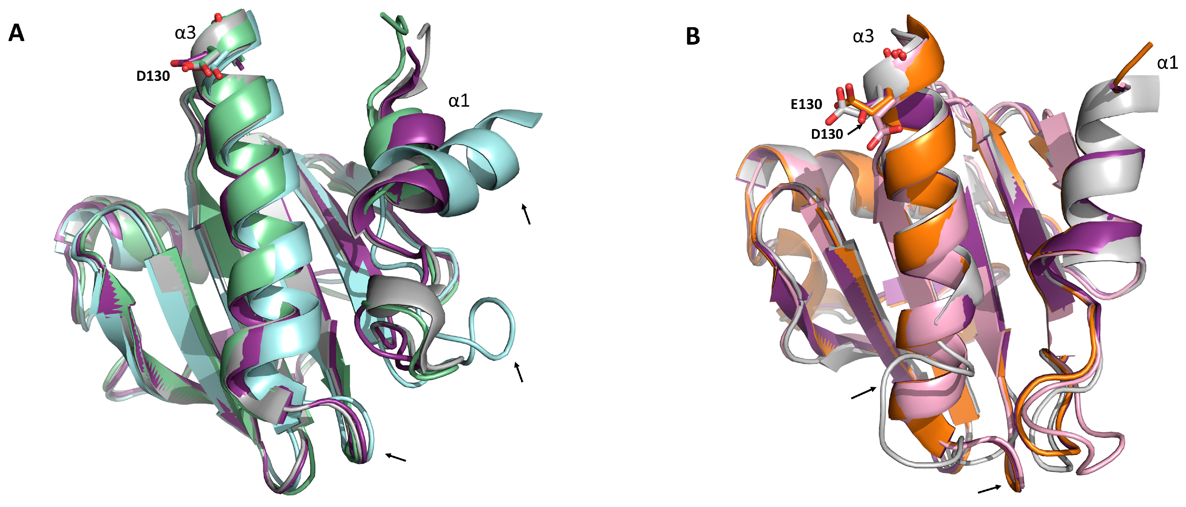 Biomolecules 13 00608 g005 Biomolecules 13 00608 g005