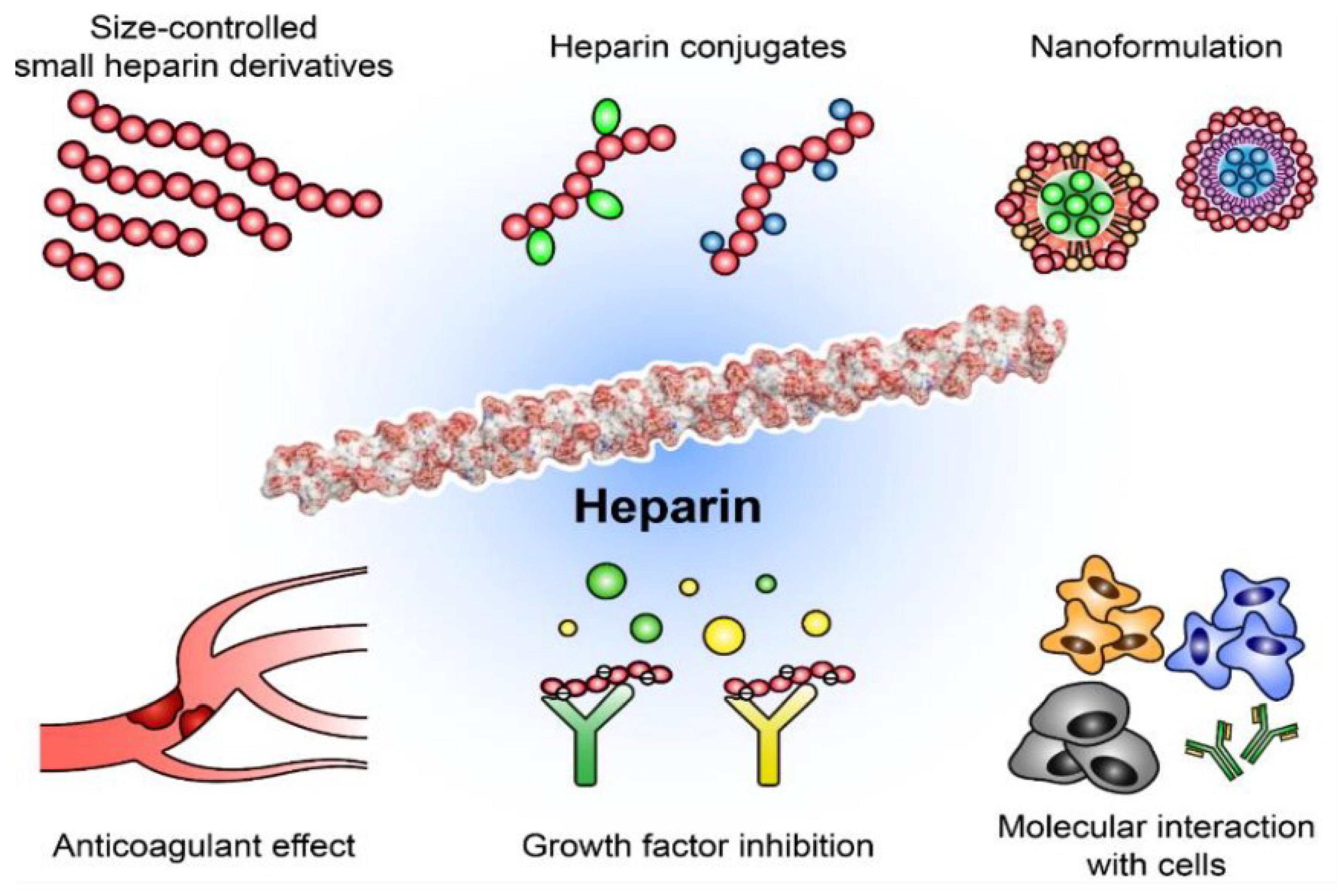 Biomolecules 13 00609 g002