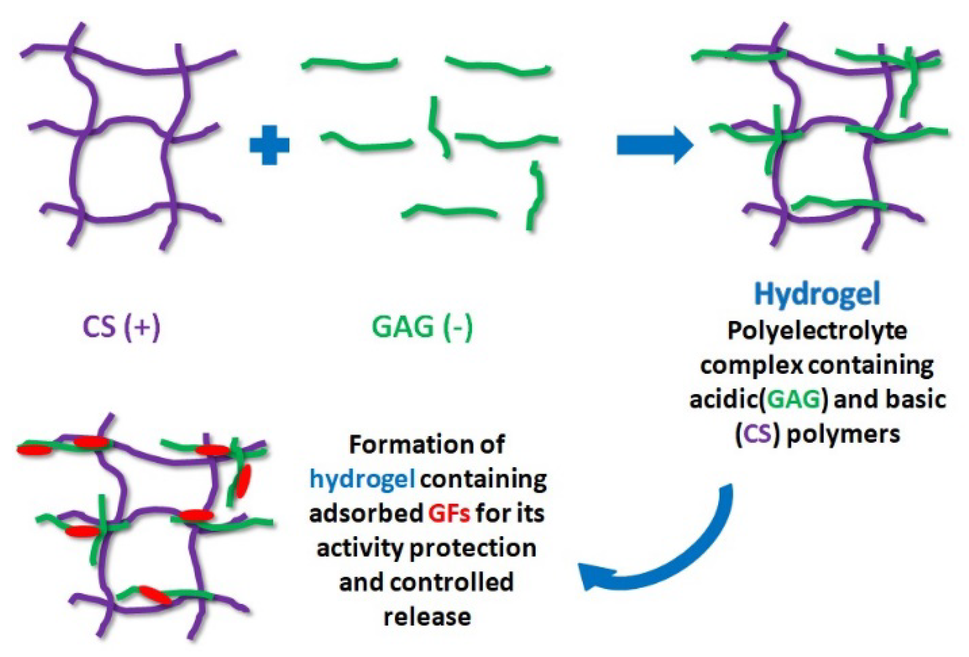 Biomolecules 13 00609 g004