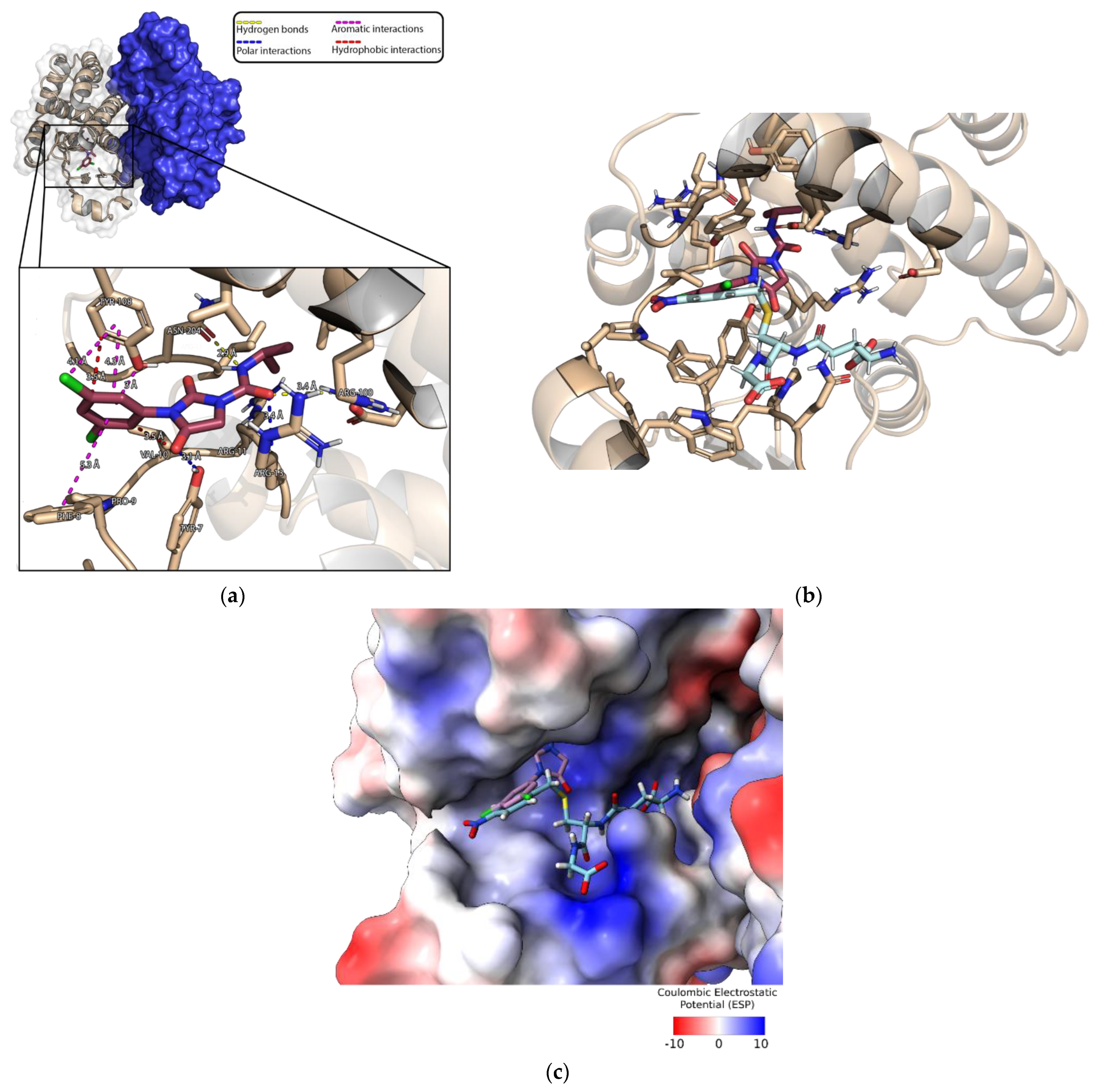 Biomolecules 13 00613 g007