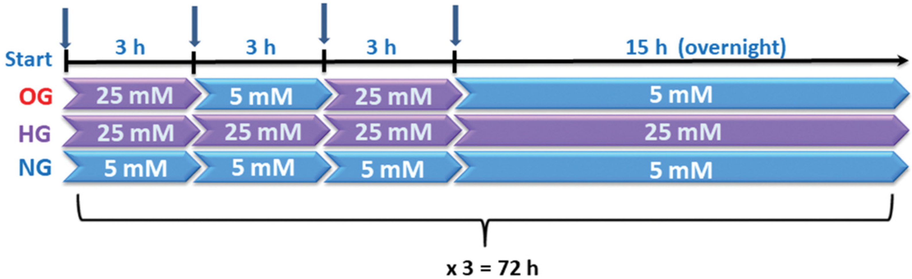 Biomolecules 13 00626 g001 Biomolecules 13 00626 g001