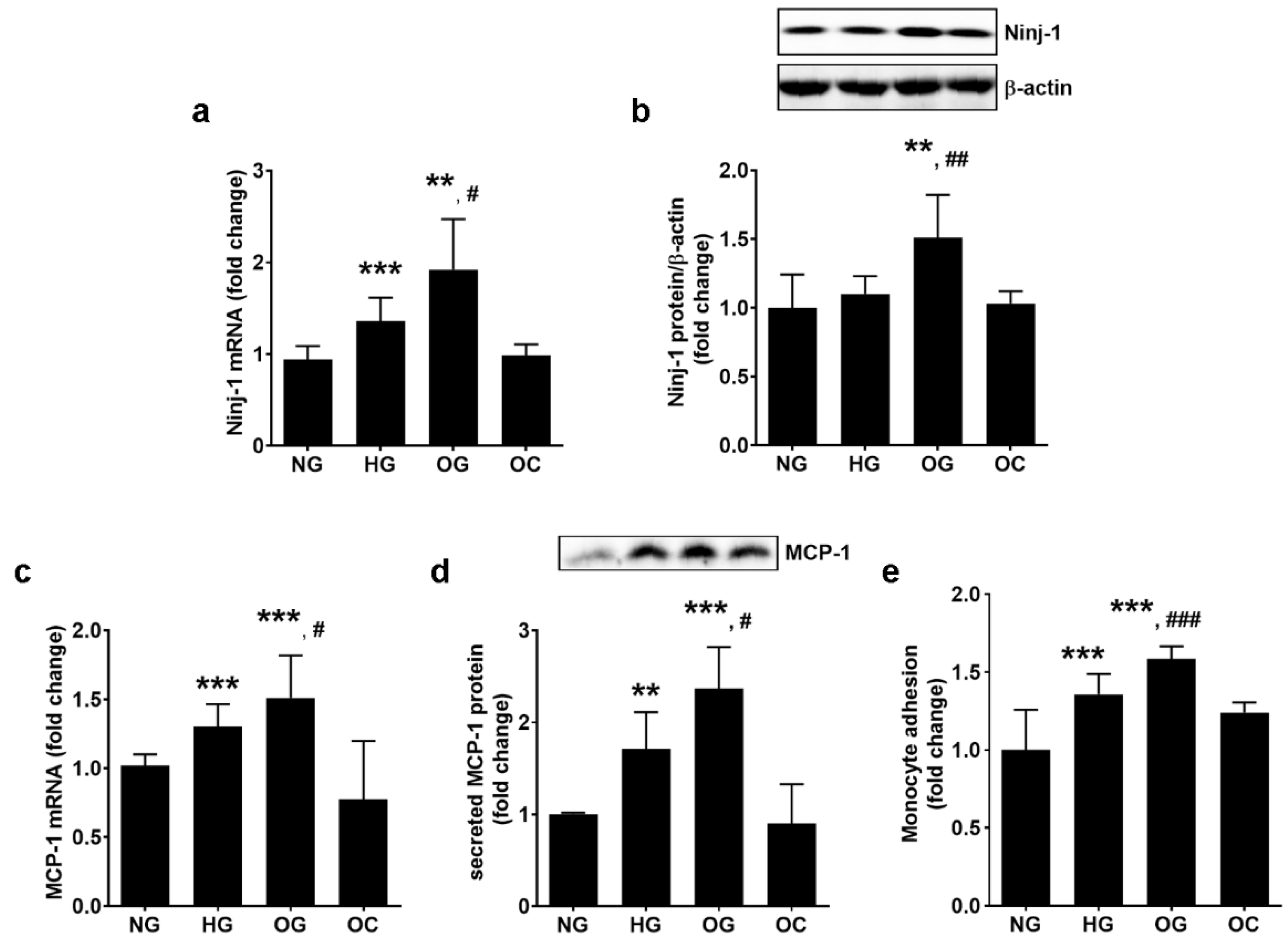 Biomolecules 13 00626 g002 Biomolecules 13 00626 g002