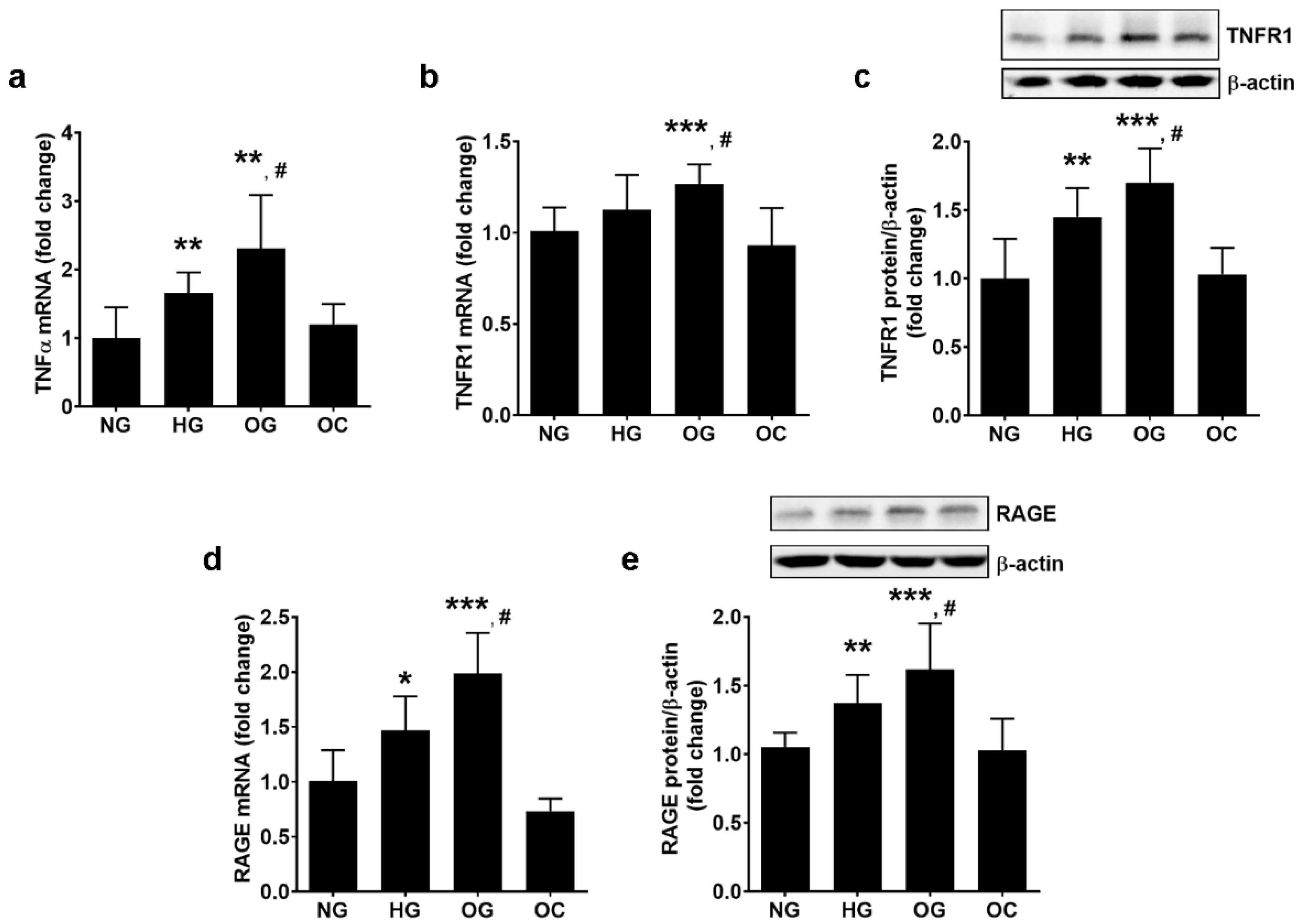 Biomolecules 13 00626 g003 Biomolecules 13 00626 g003