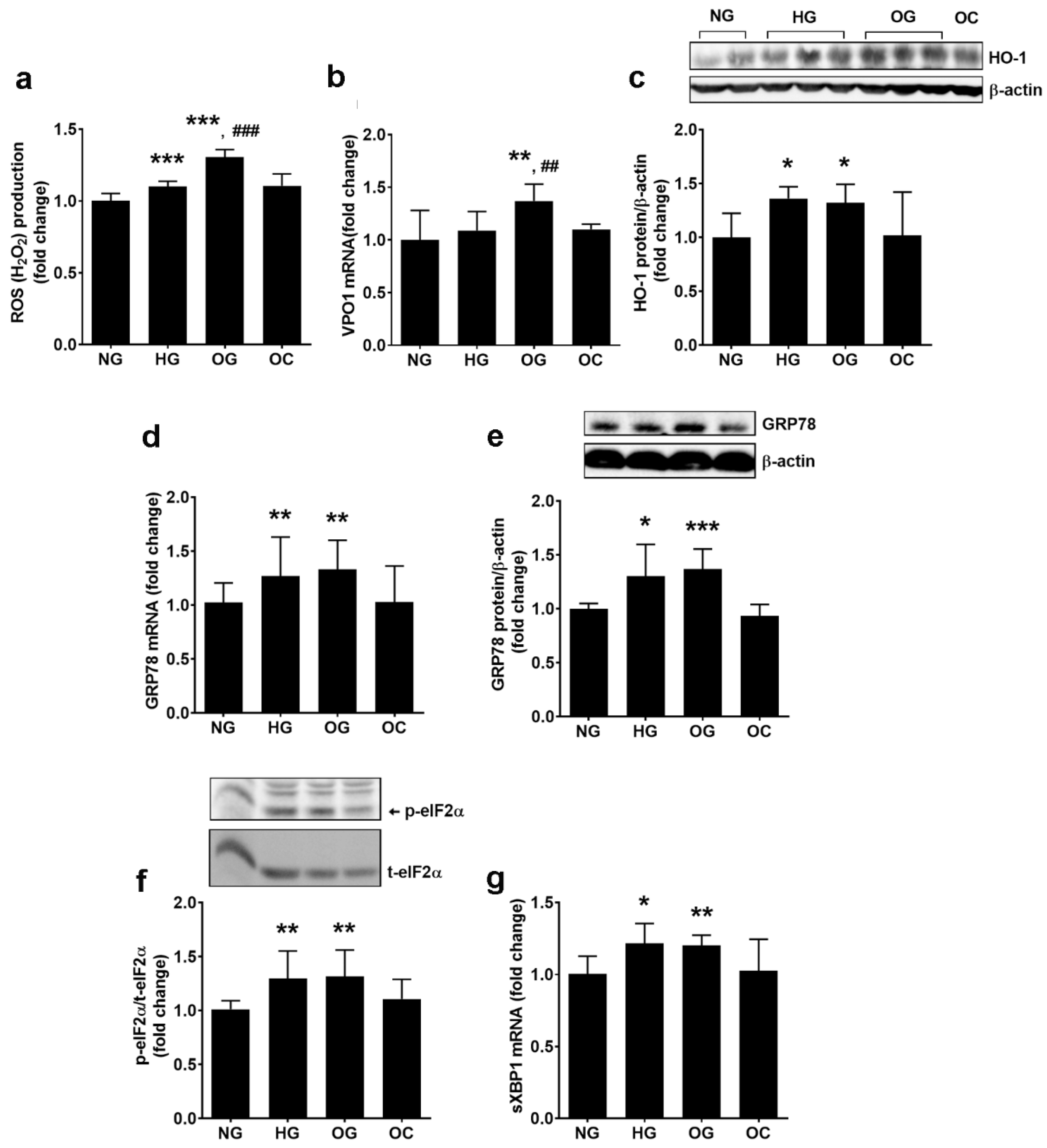 Biomolecules 13 00626 g005 Biomolecules 13 00626 g005