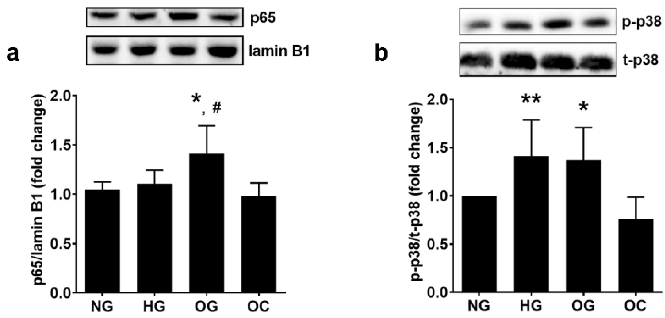 Biomolecules 13 00626 g006 Biomolecules 13 00626 g006