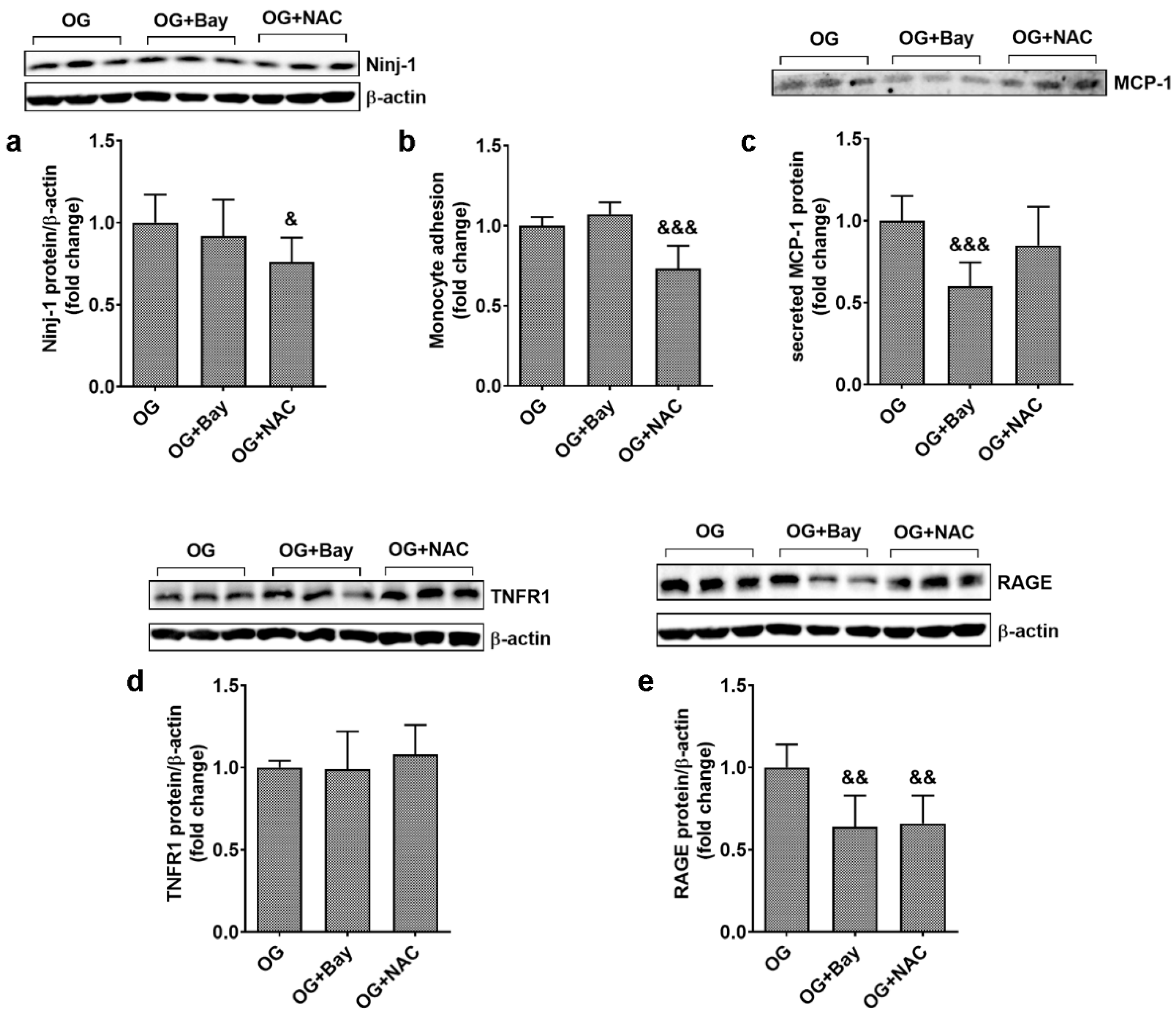 Biomolecules 13 00626 g007 Biomolecules 13 00626 g007