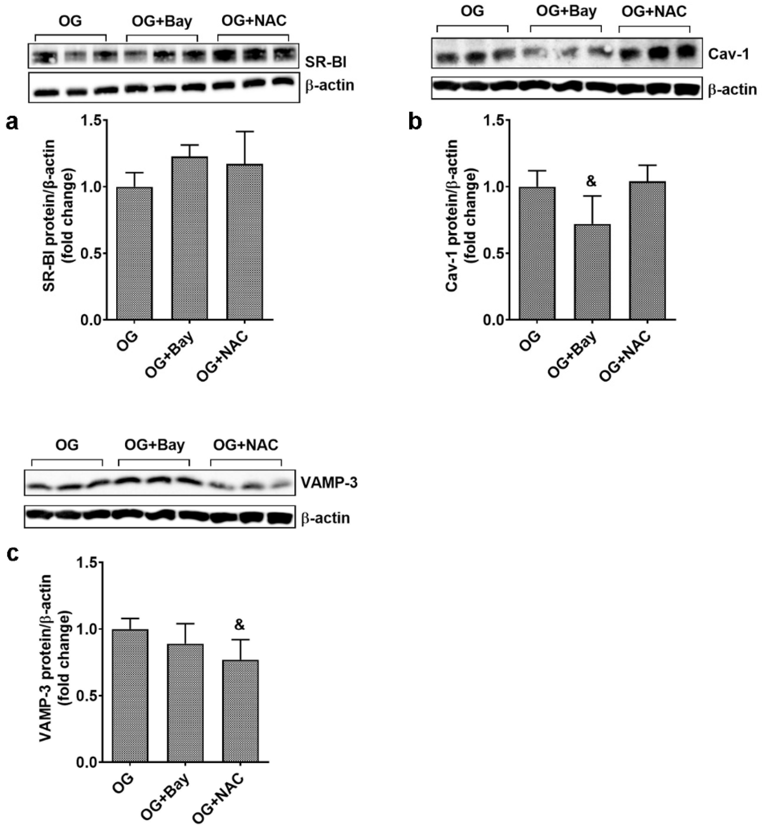Biomolecules 13 00626 g008 Biomolecules 13 00626 g008