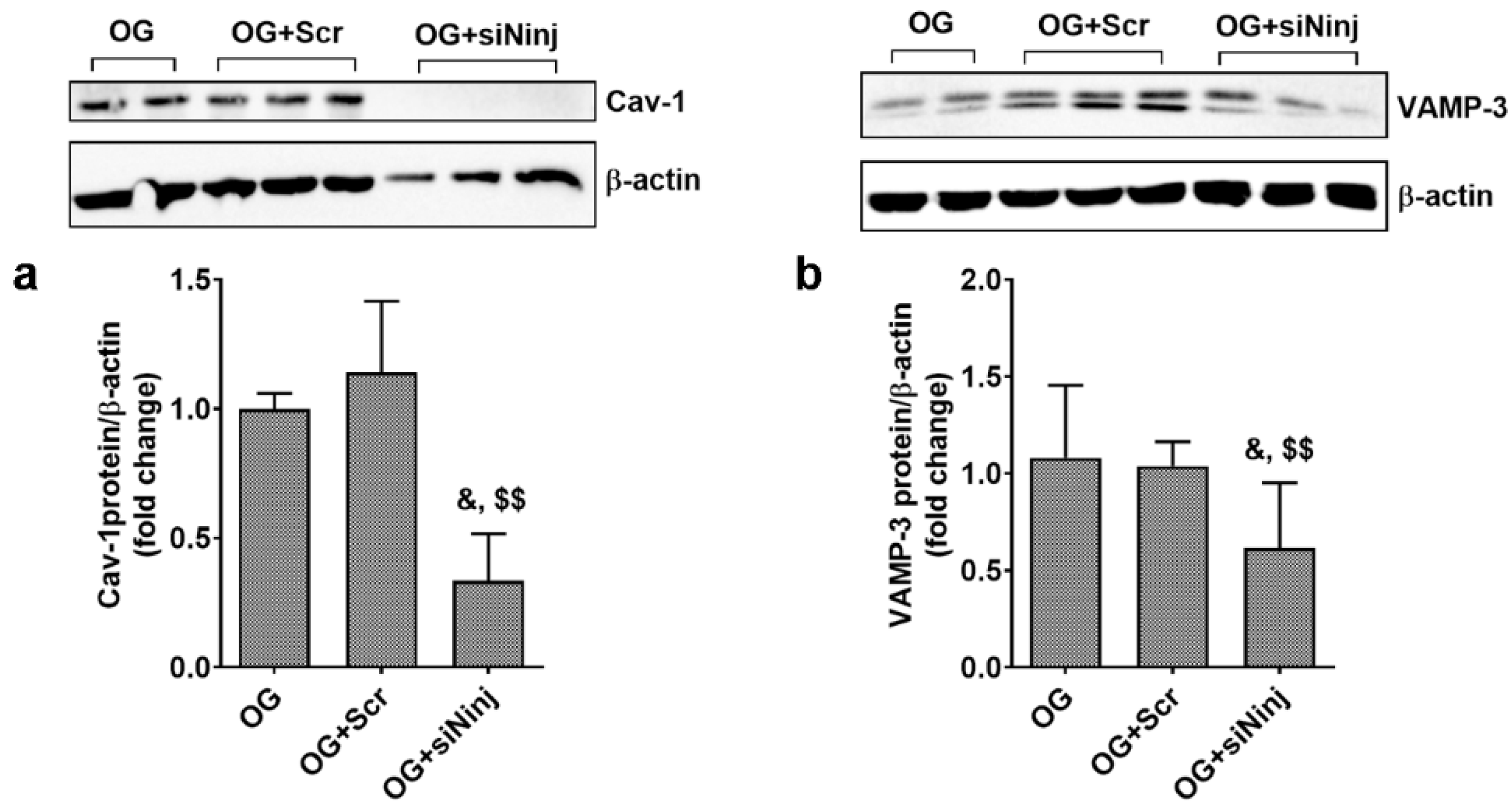 Biomolecules 13 00626 g009 Biomolecules 13 00626 g009
