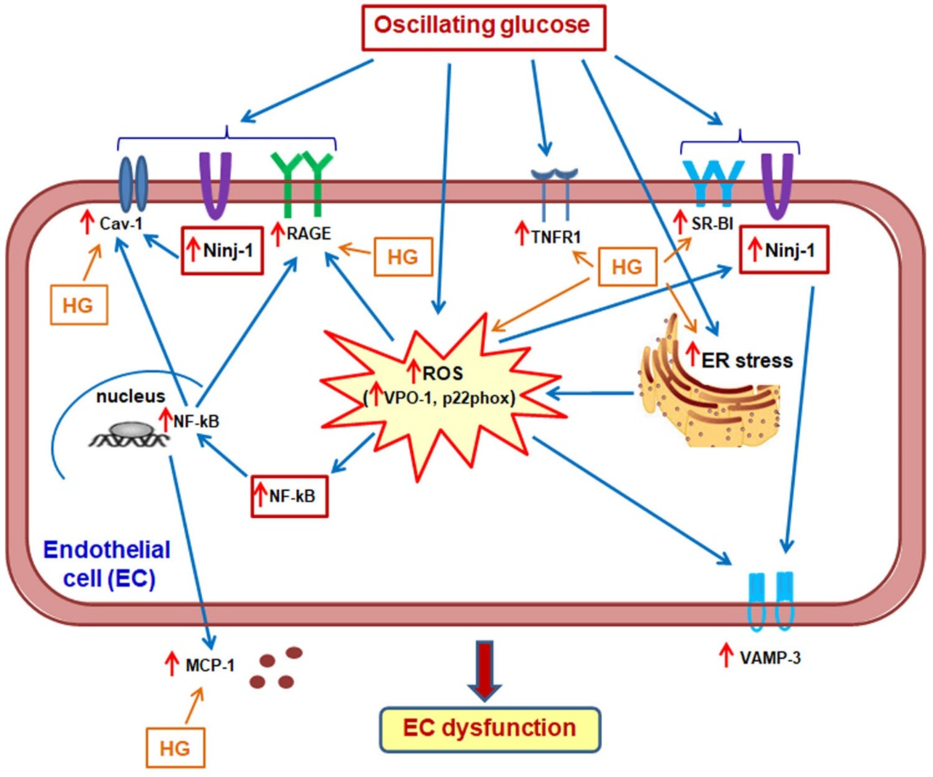 Biomolecules 13 00626 g011 Biomolecules 13 00626 g011
