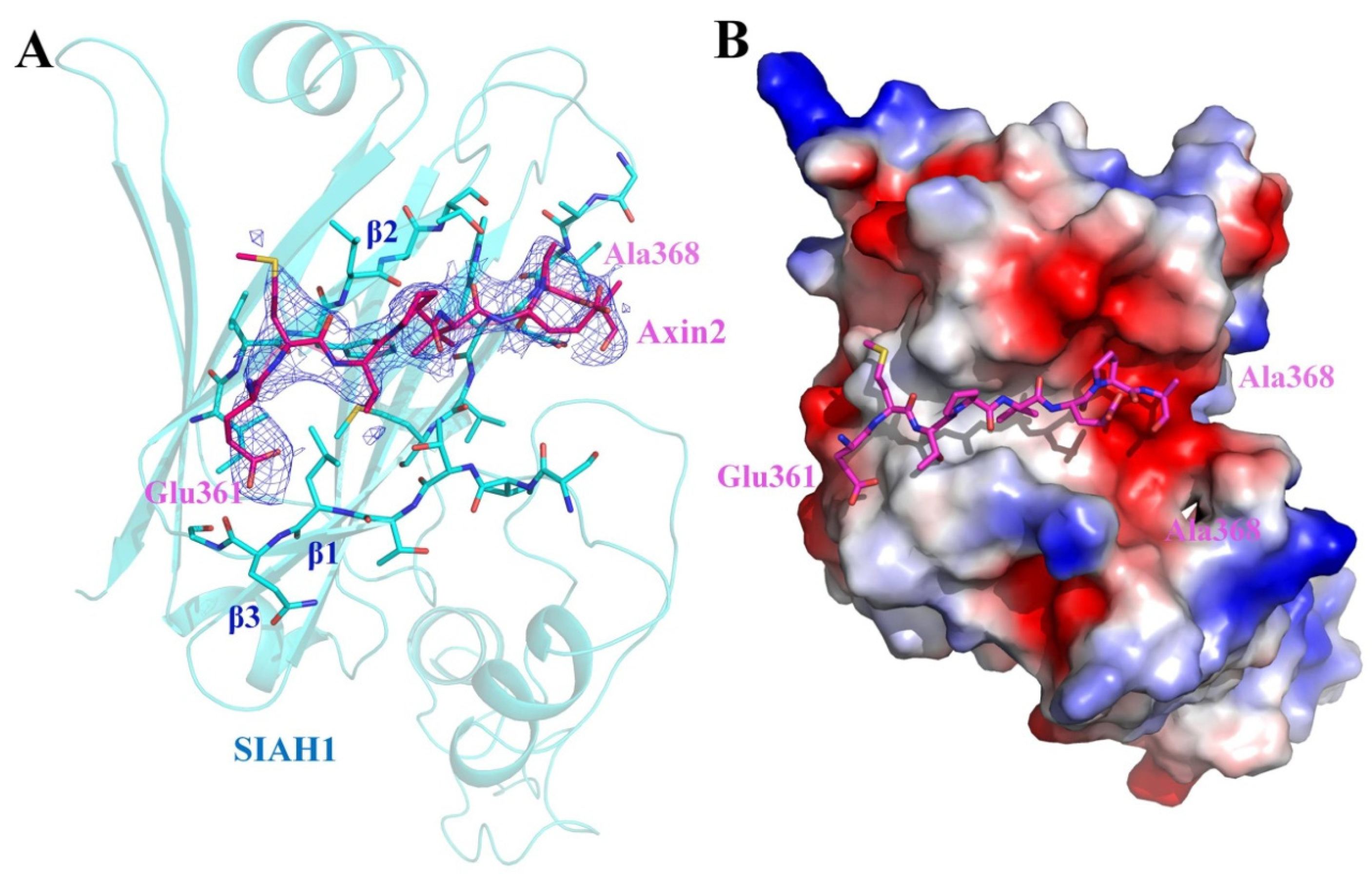 Biomolecules 13 00647 g004 Biomolecules 13 00647 g004