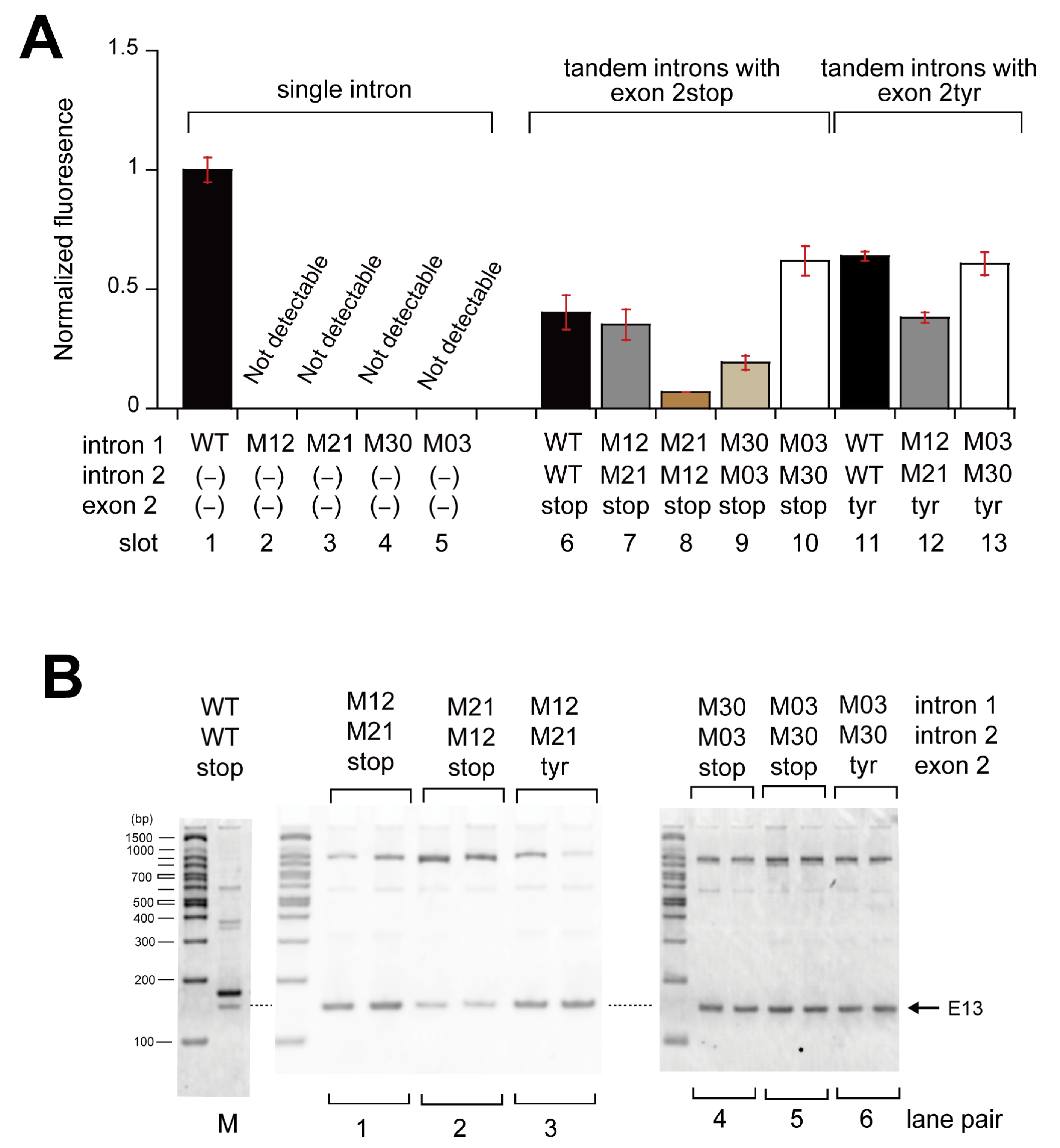 Biomolecules 13 00654 g004
