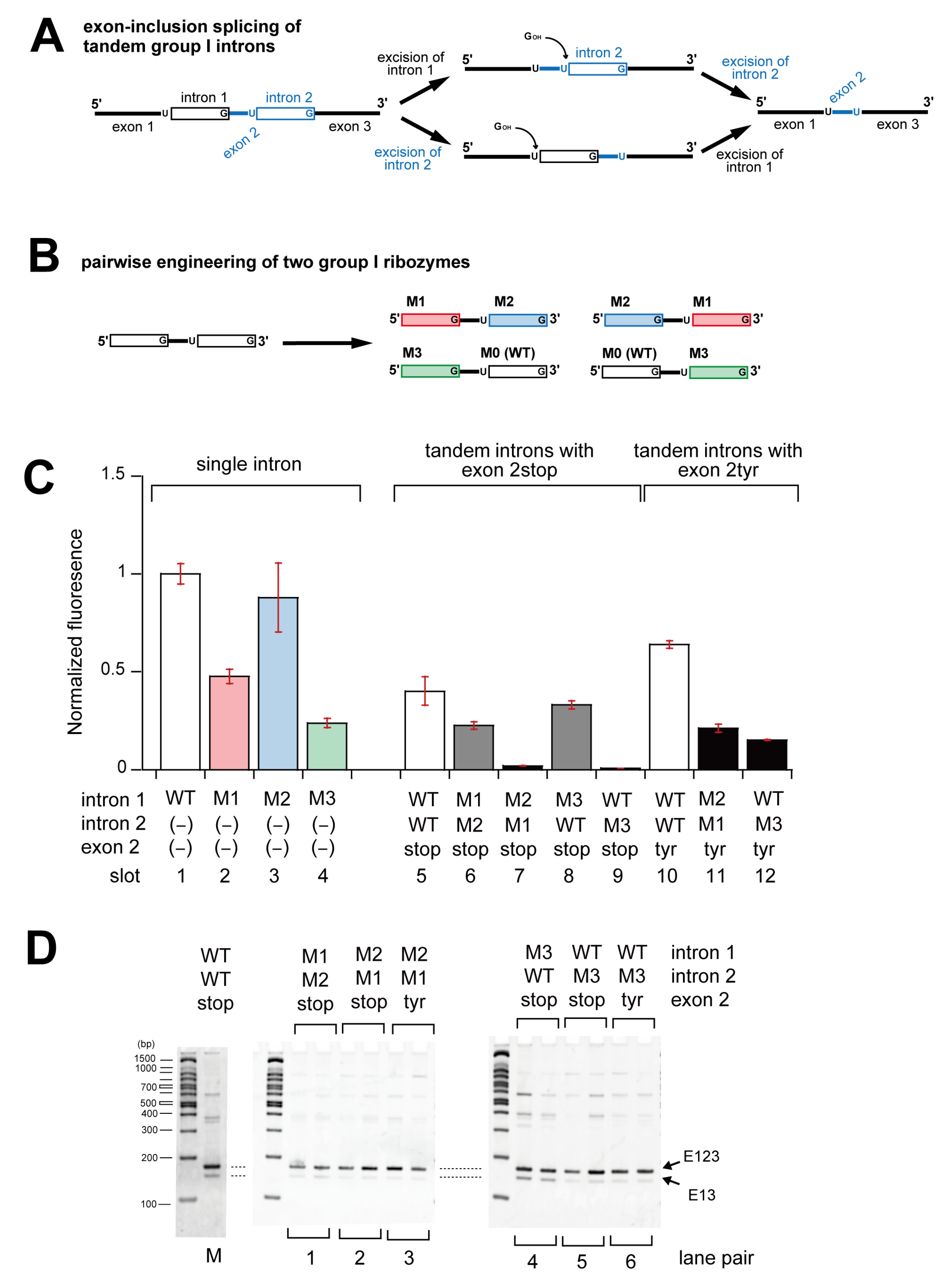 Biomolecules 13 00654 g005