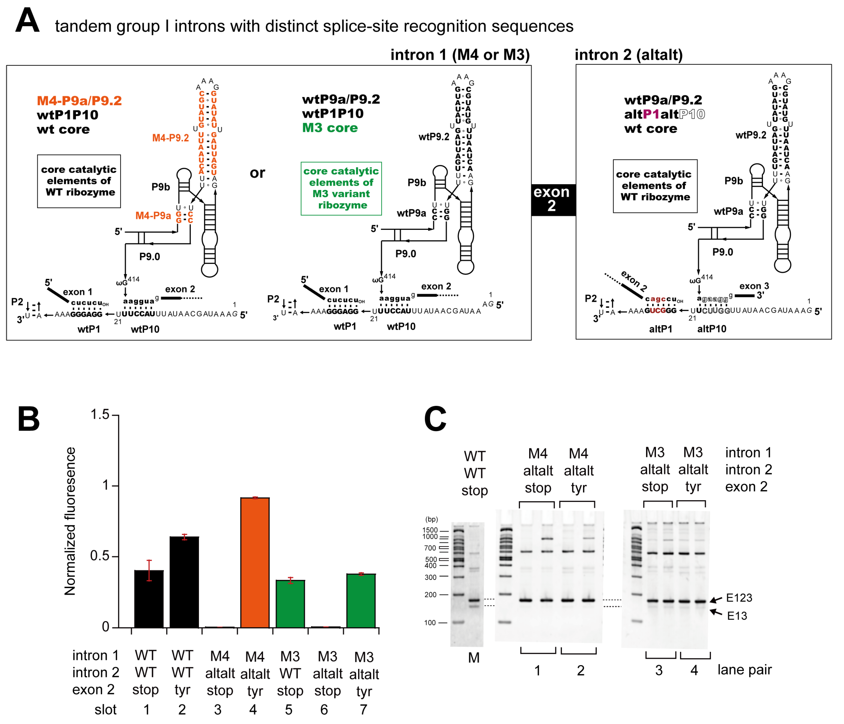 Biomolecules 13 00654 g008