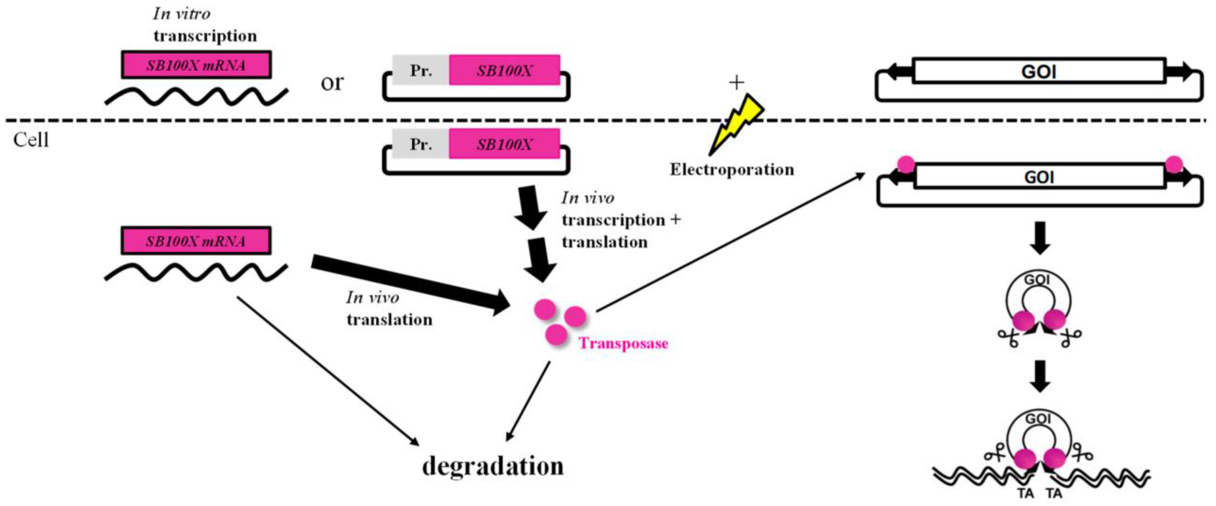 Biomolecules 13 00658 g001