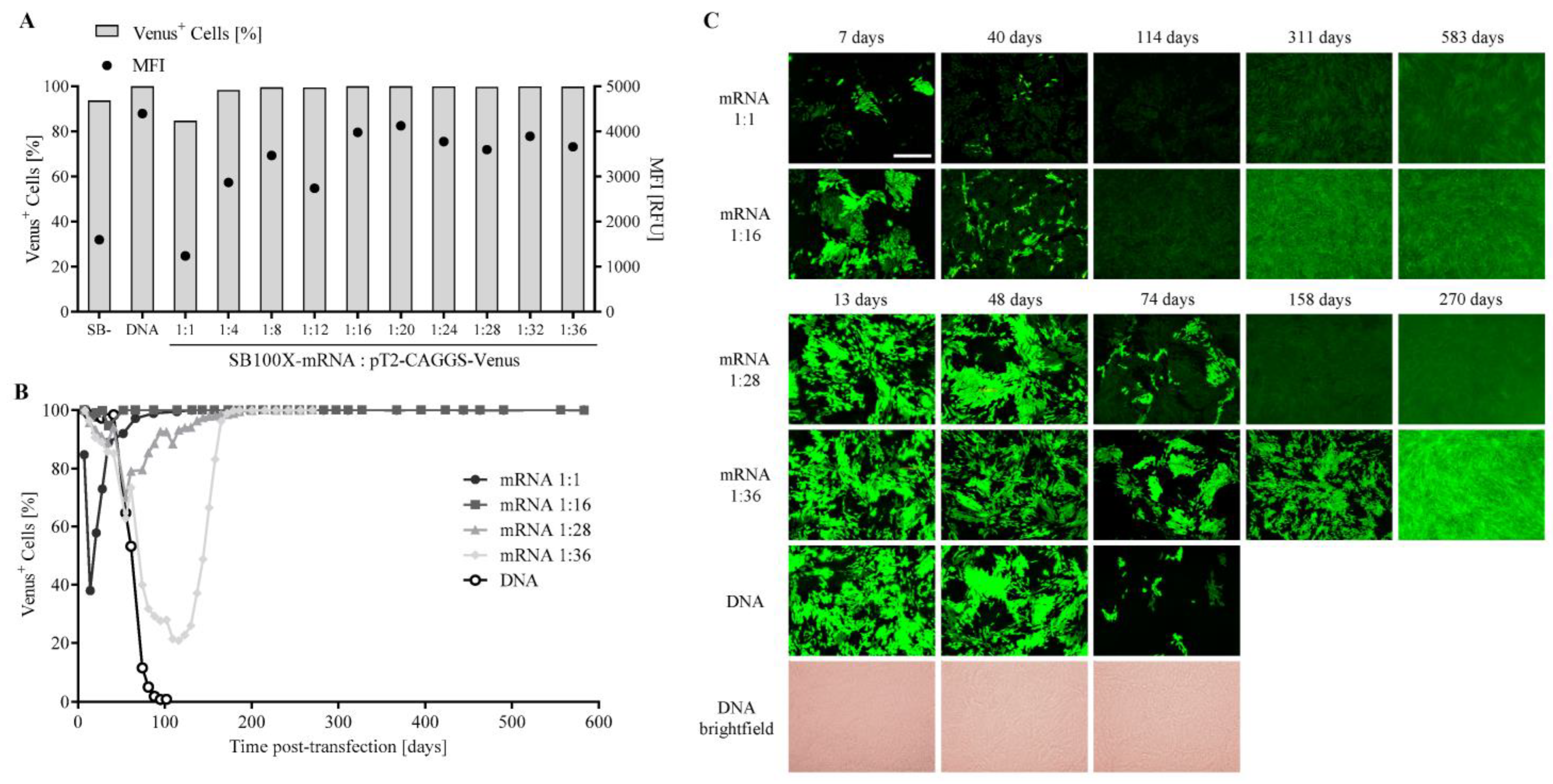 Biomolecules 13 00658 g002