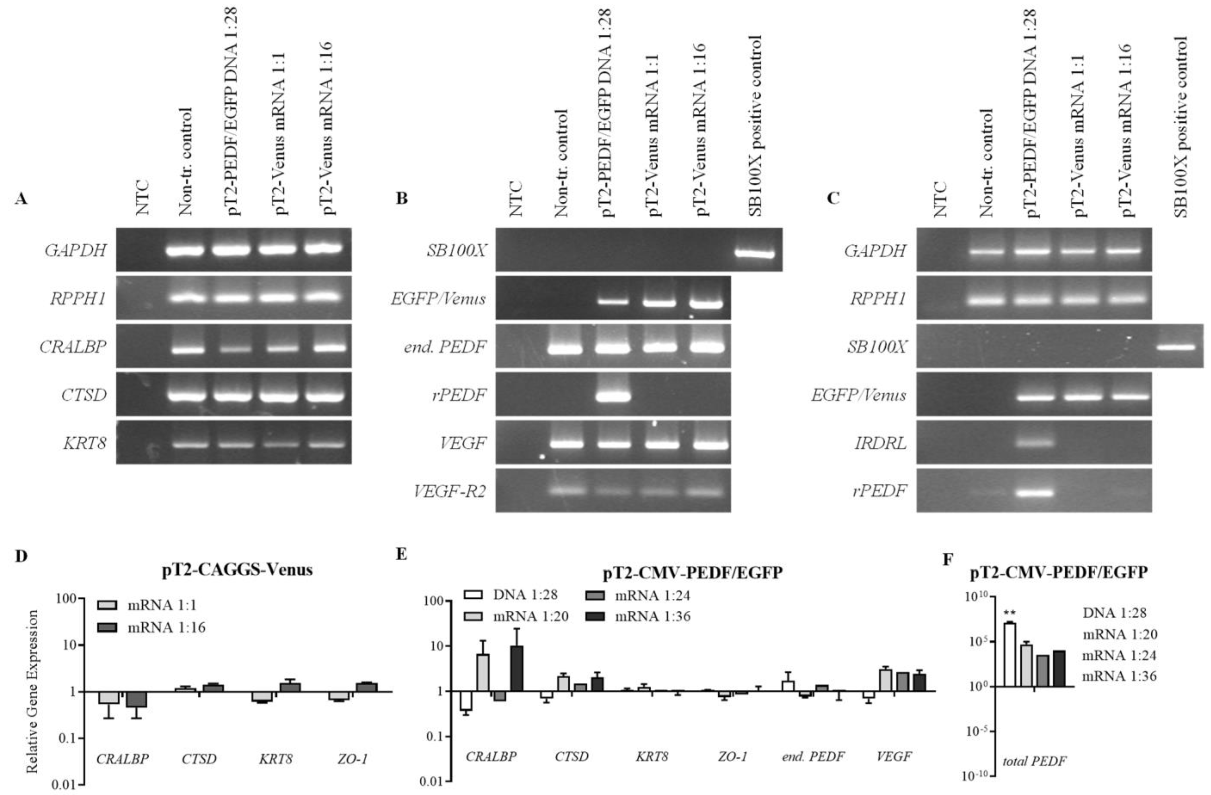 Biomolecules 13 00658 g005