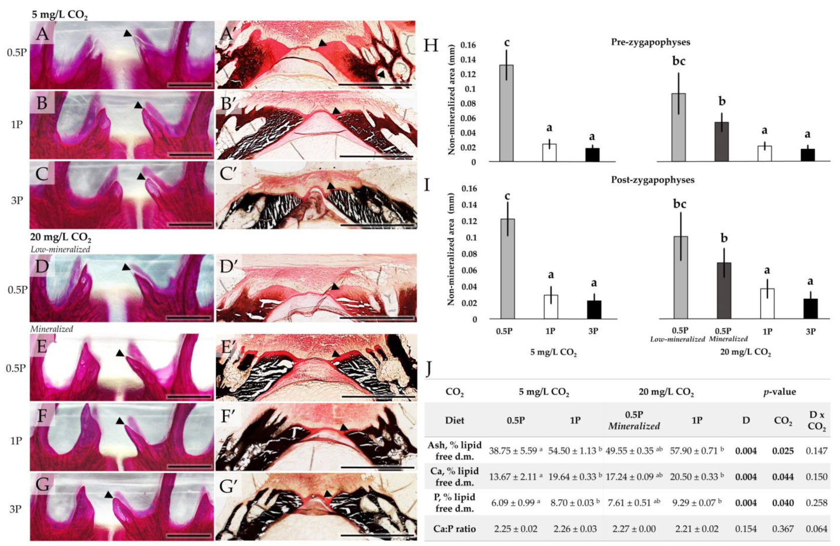 Biomolecules 13 00663 g006 Biomolecules 13 00663 g006
