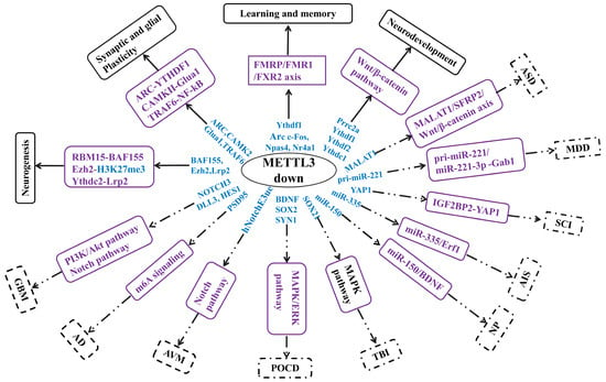 Salmo 103 - Mind Map