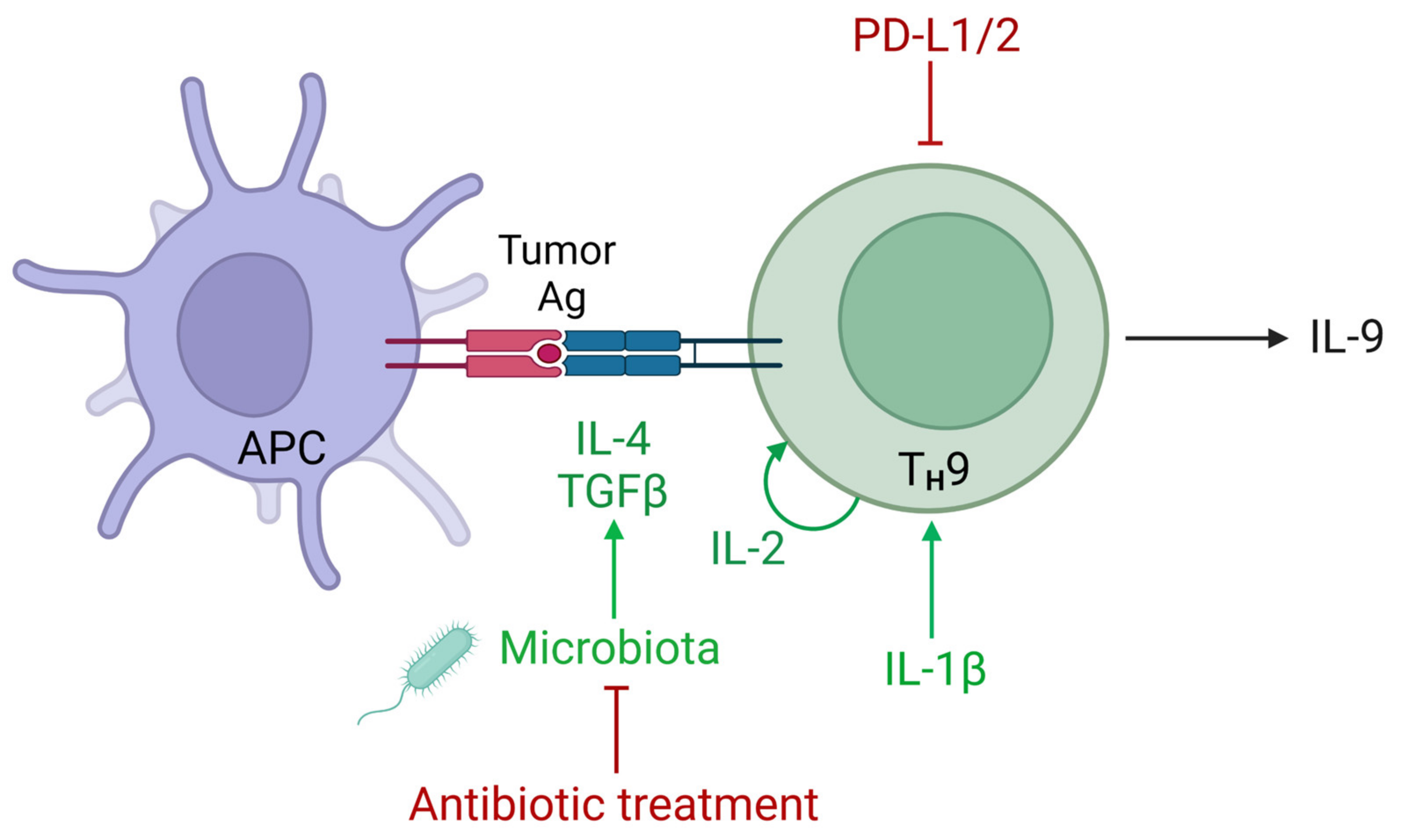 Biomolecules 13 00670 g002 Biomolecules 13 00670 g002