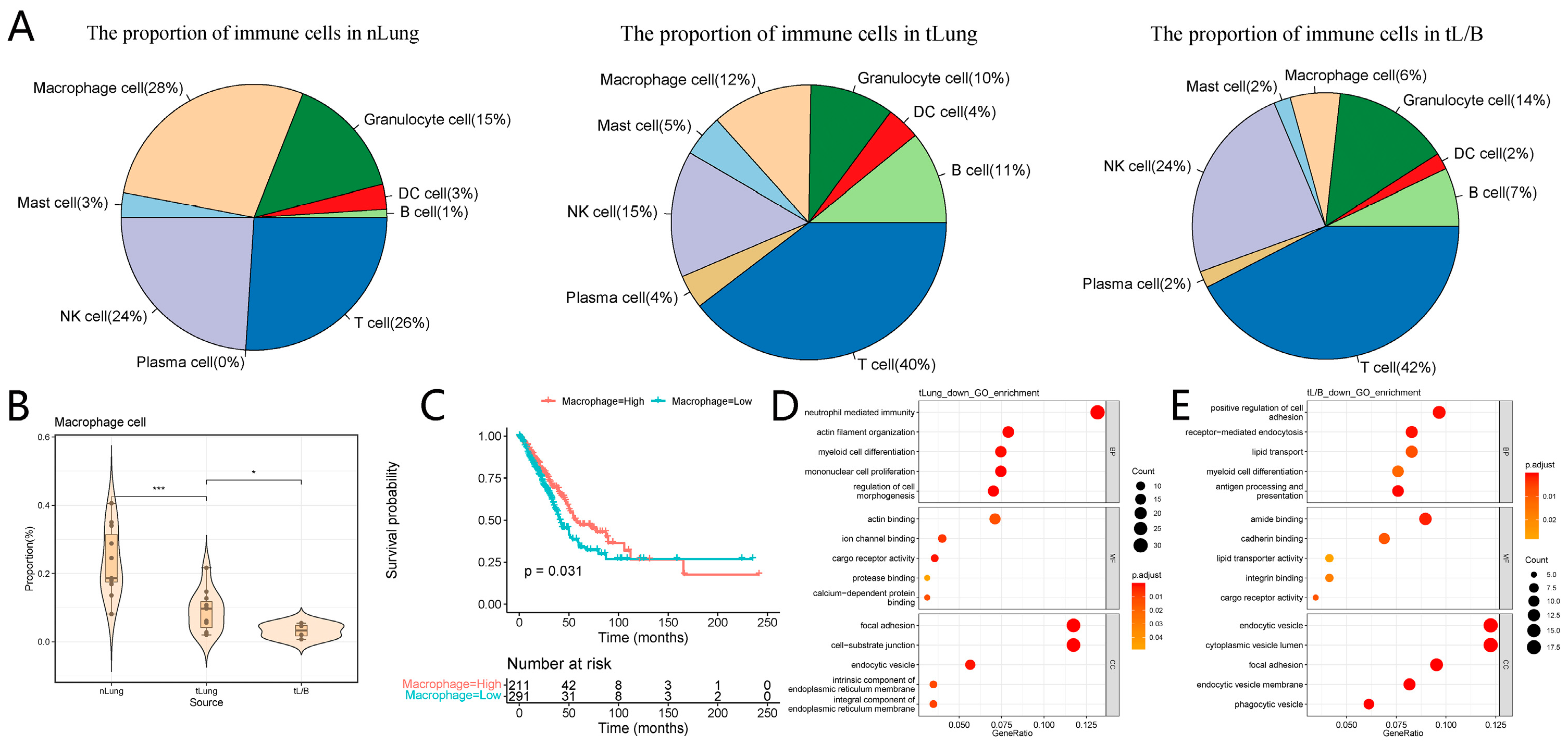 Biomolecules 13 00671 g002 Biomolecules 13 00671 g002
