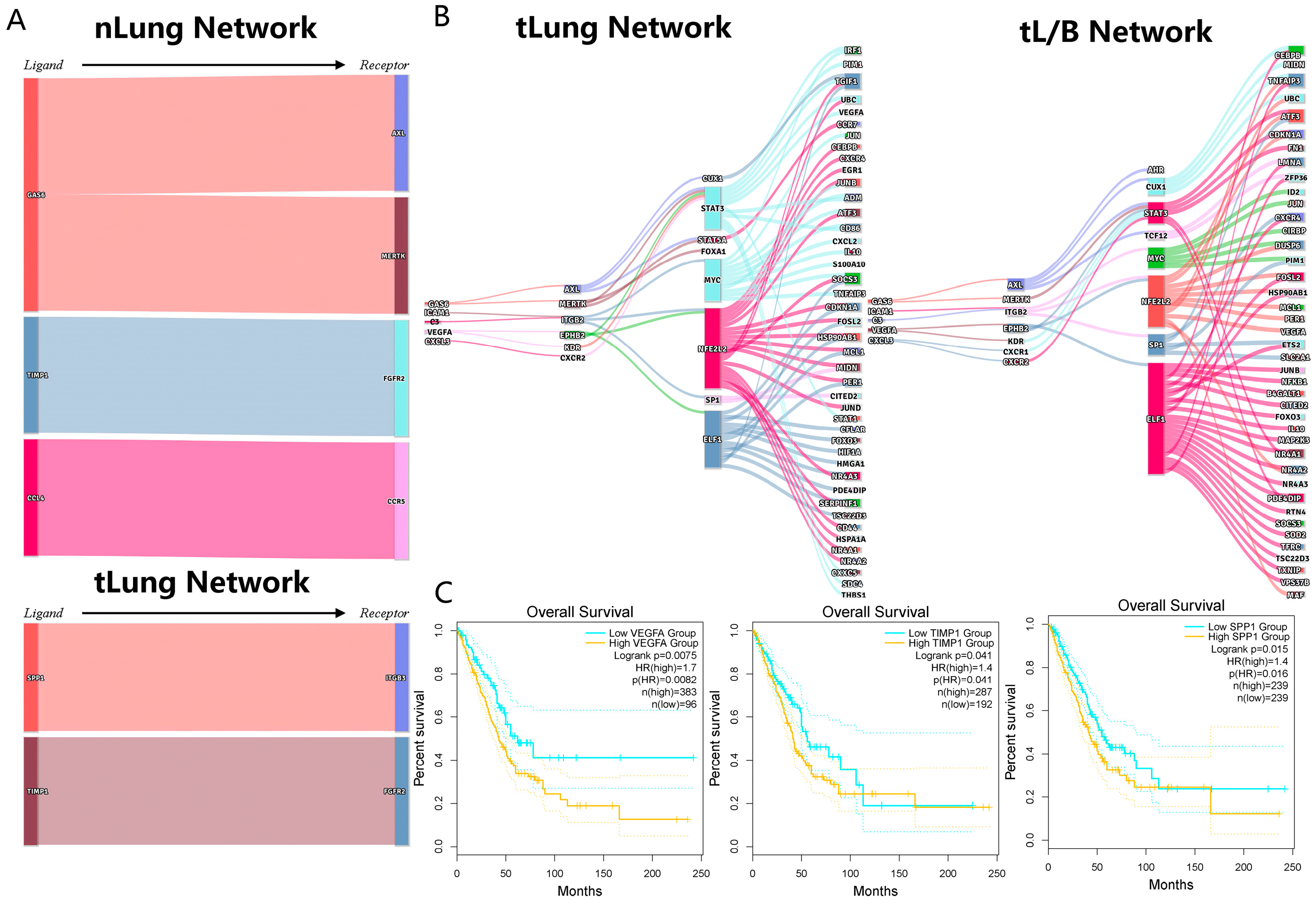 Biomolecules 13 00671 g007 Biomolecules 13 00671 g007