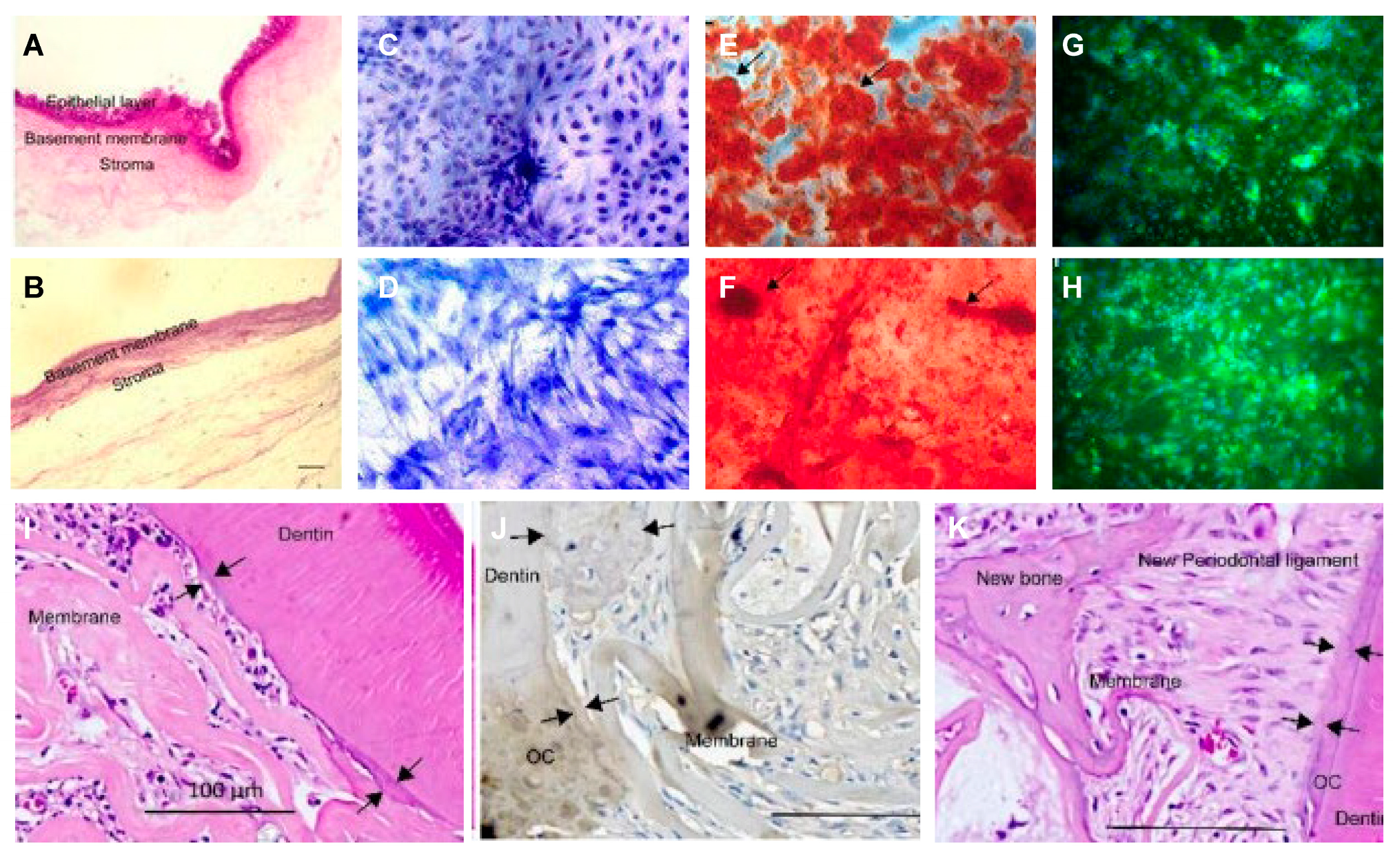 Biomolecules 13 00673 g001
