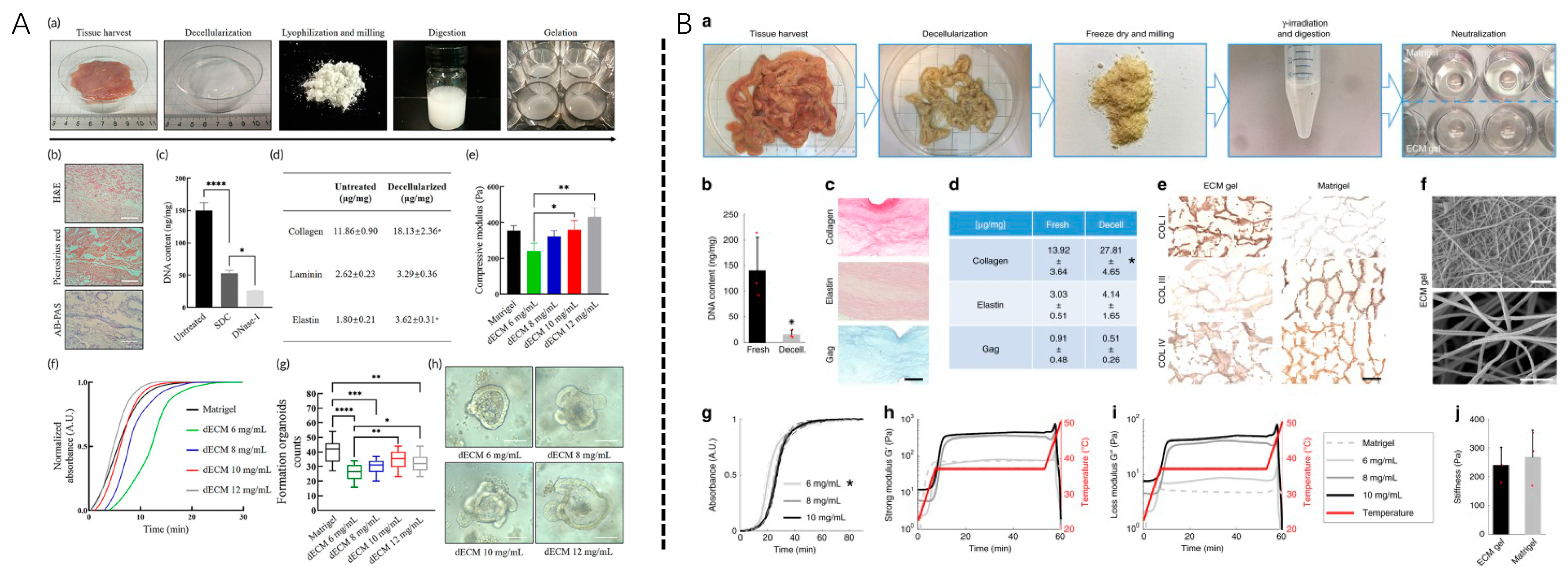 Biomolecules 13 00673 g003