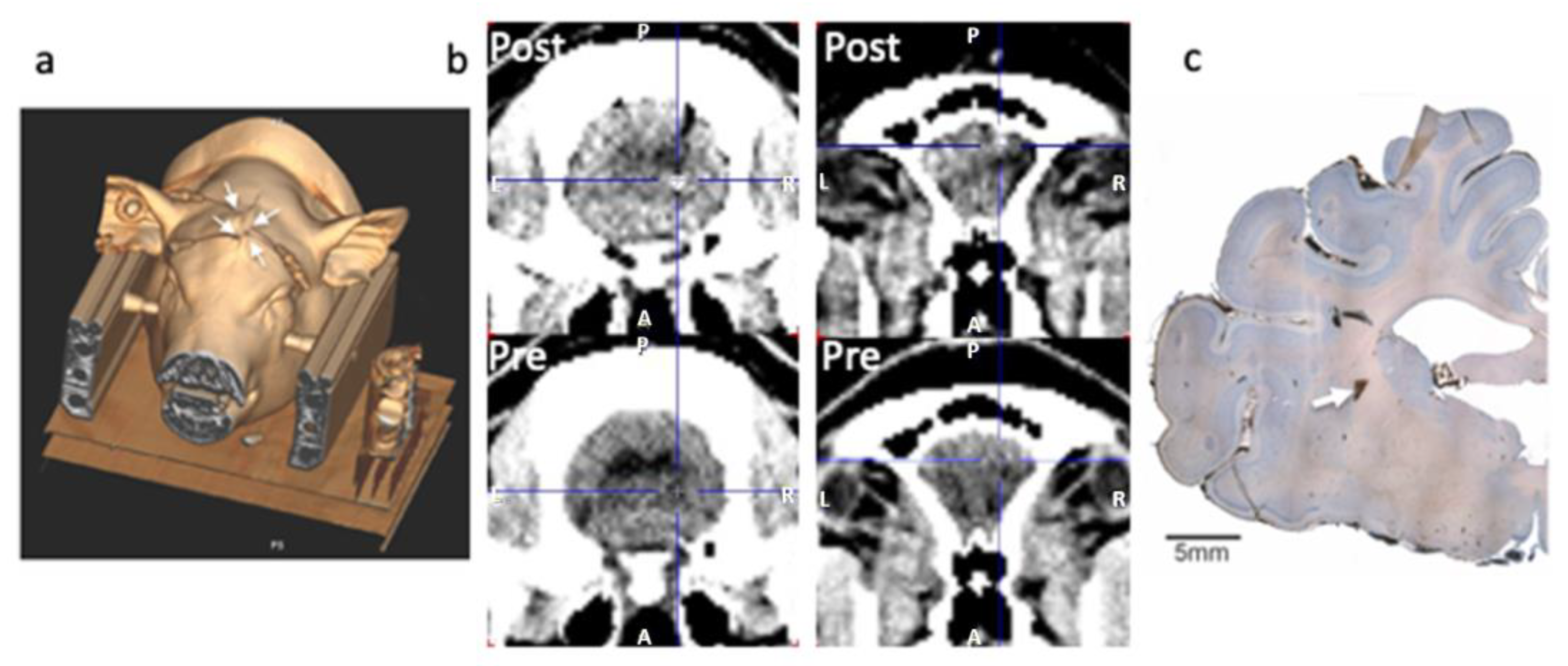 Biomolecules 13 00674 g001