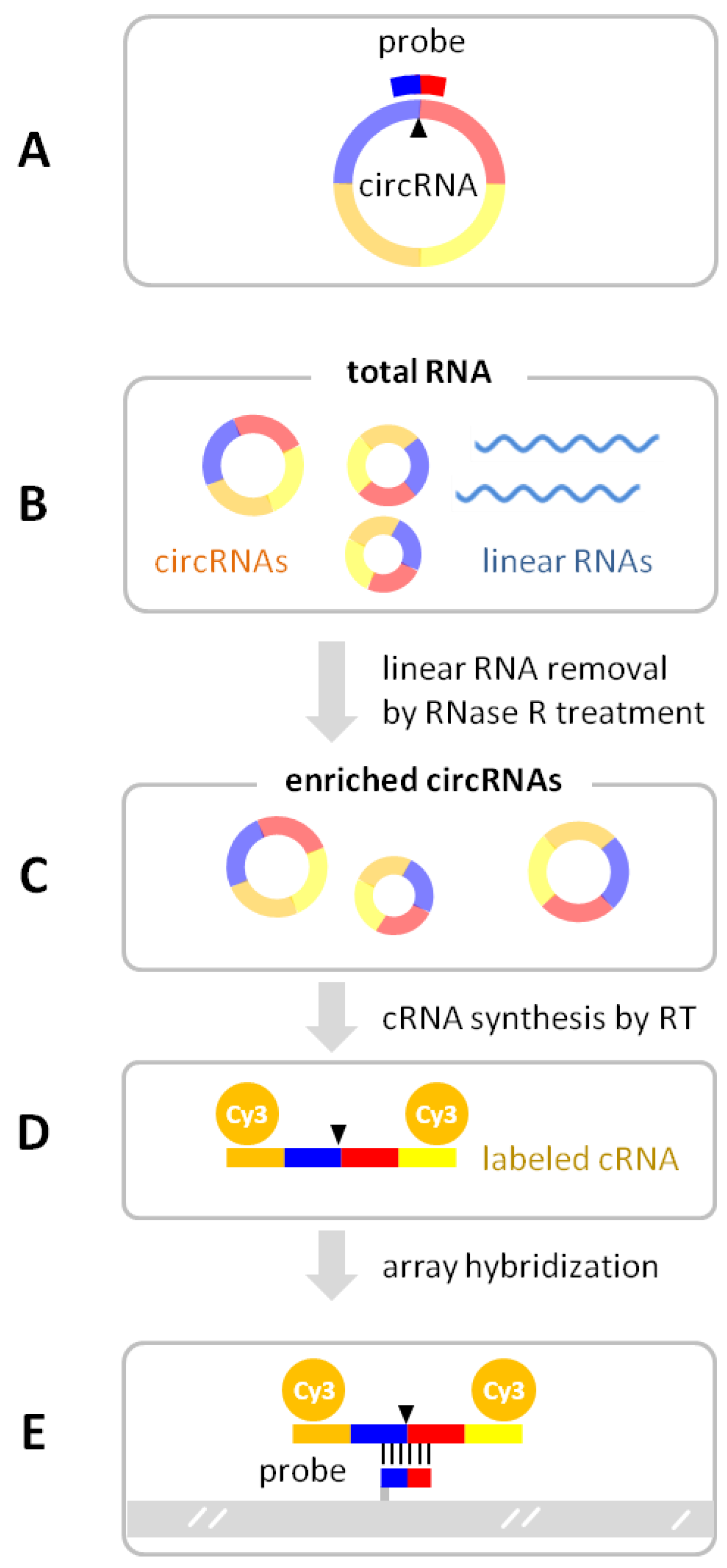 Biomolecules 13 00679 g004 Biomolecules 13 00679 g004