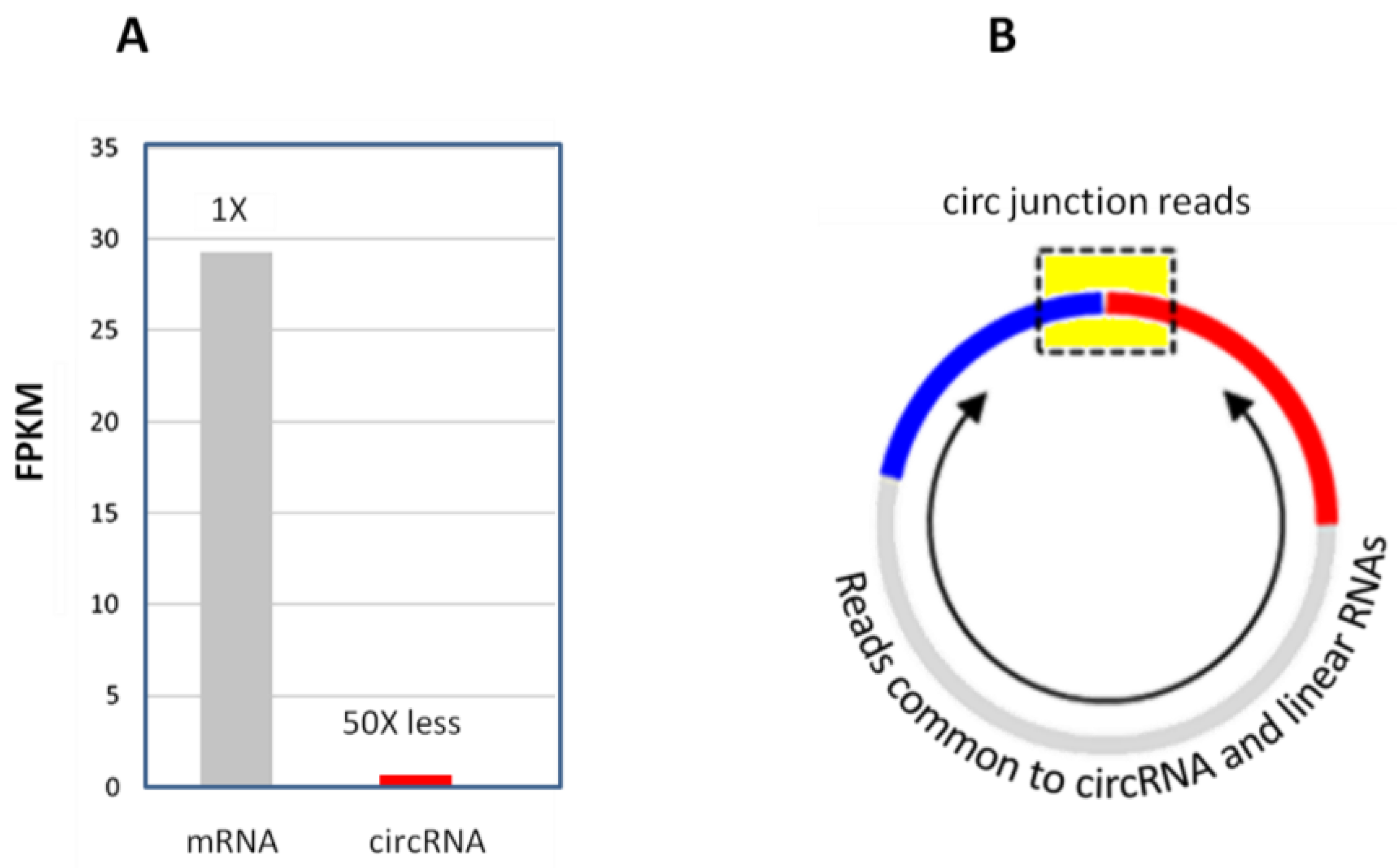 Biomolecules 13 00679 g007 Biomolecules 13 00679 g007