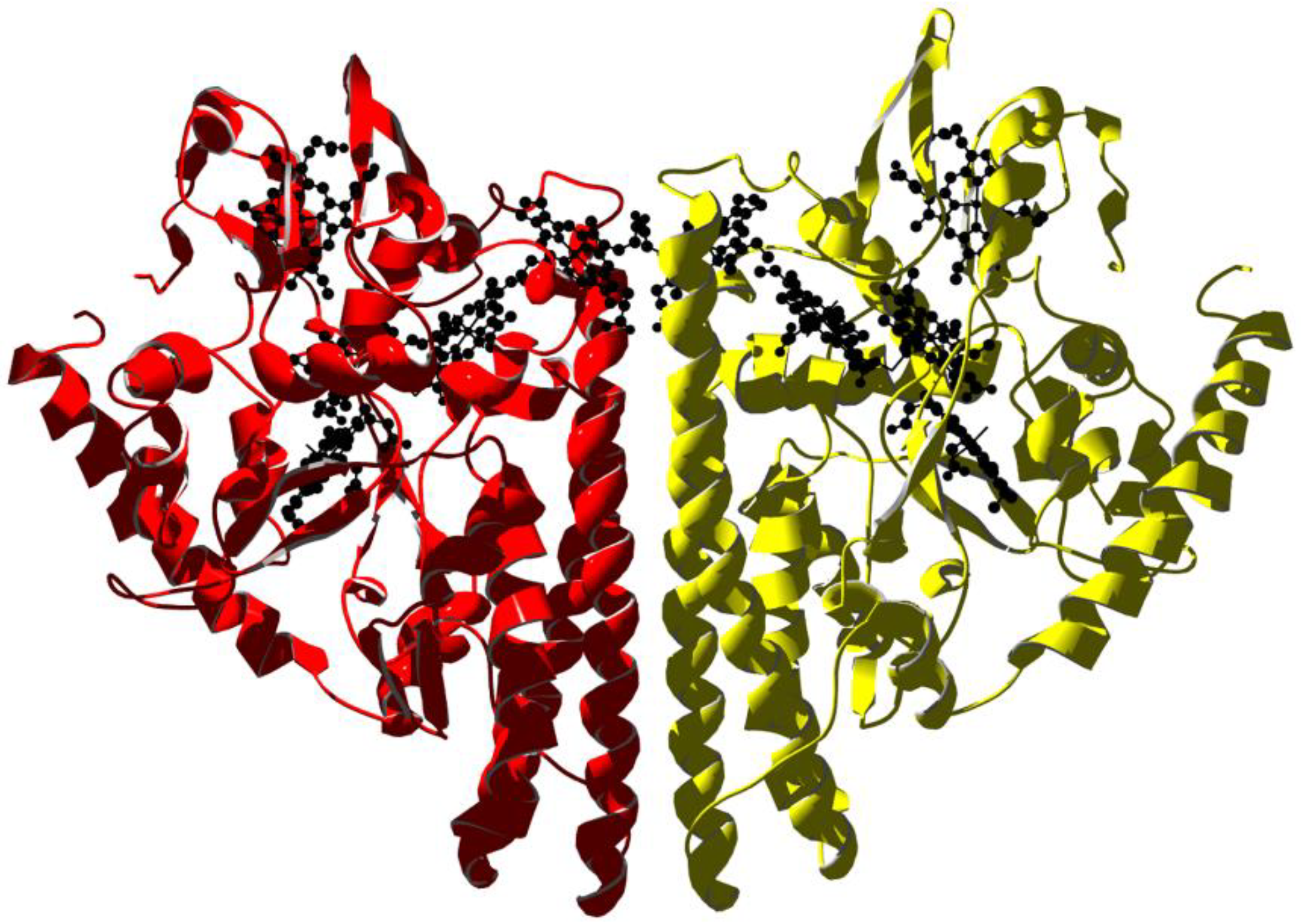 Biomolecules 13 00683 g004 Biomolecules 13 00683 g004