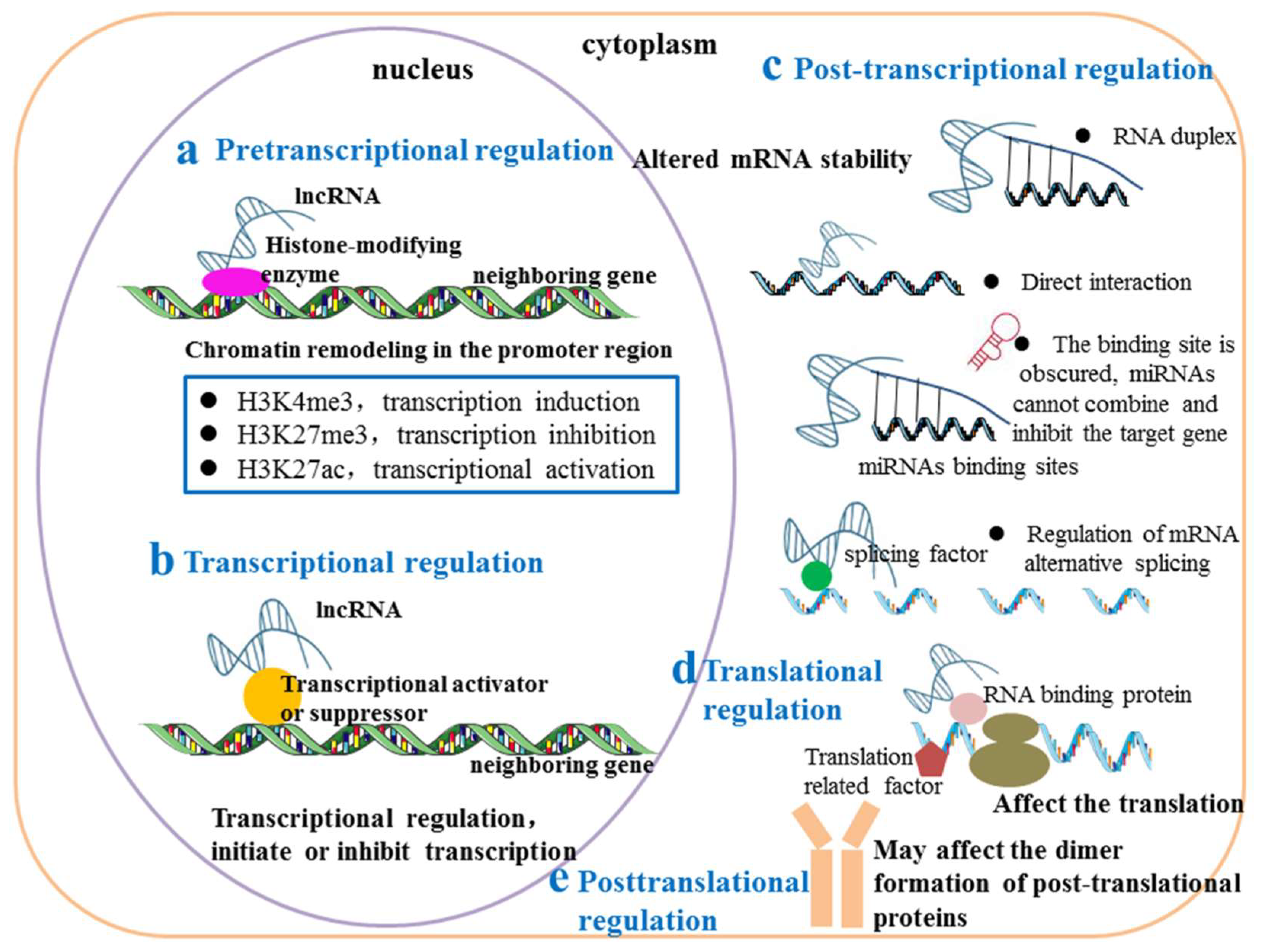 Biomolecules 13 00684 g002