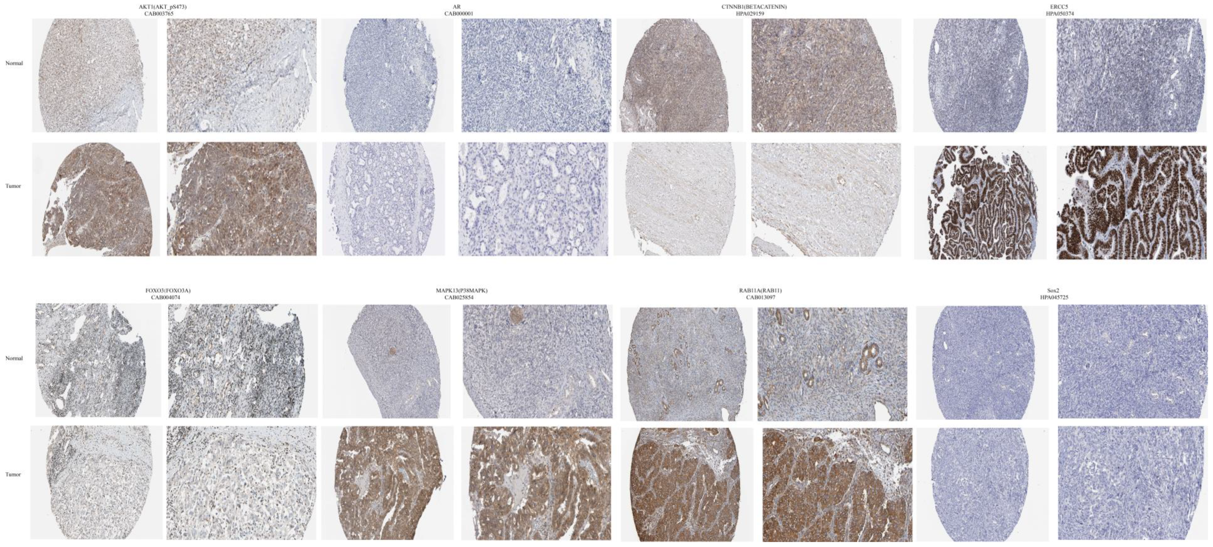 Biomolecules 13 00685 g010